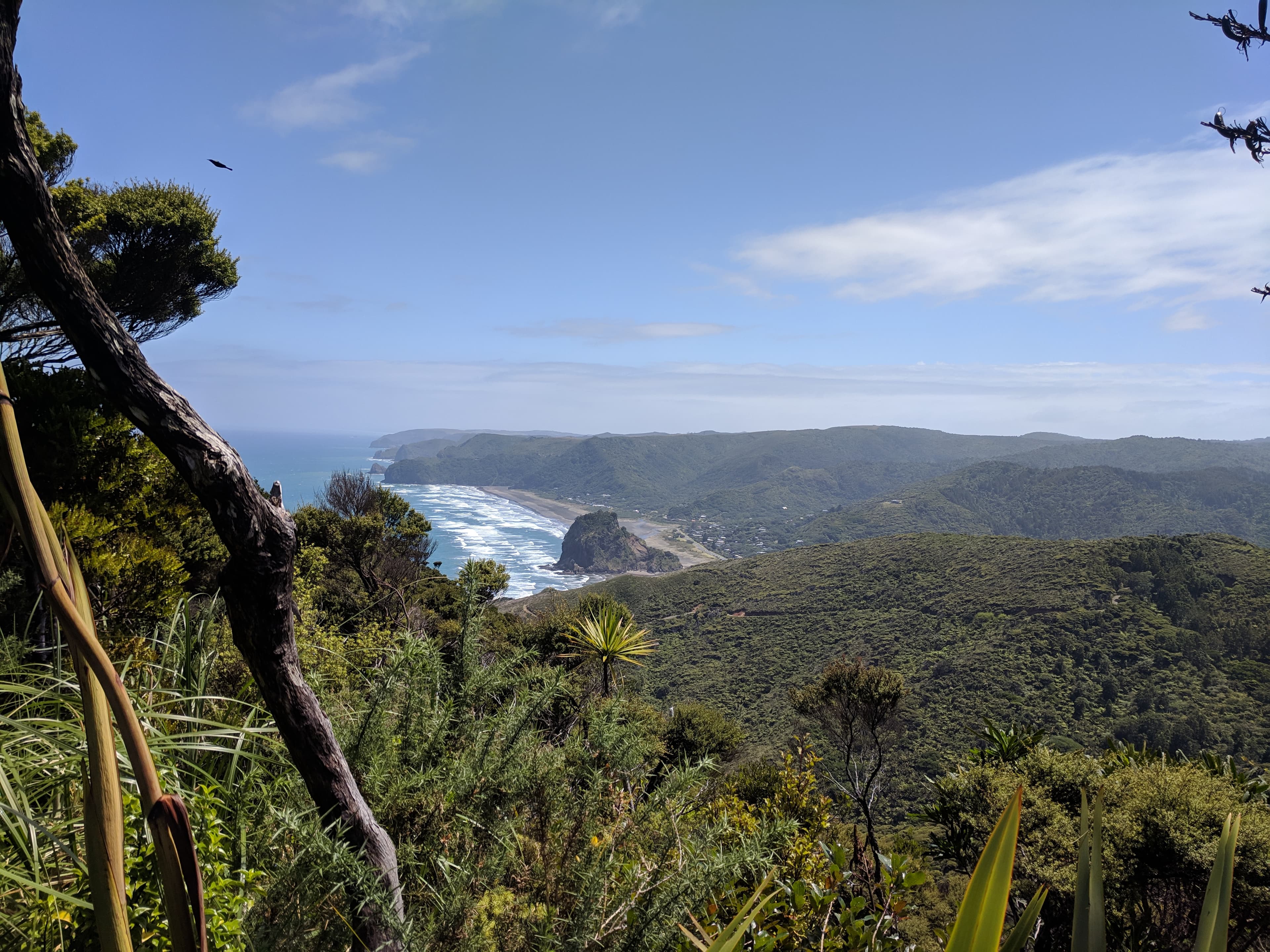 Cover Image for Auckland's West Coast