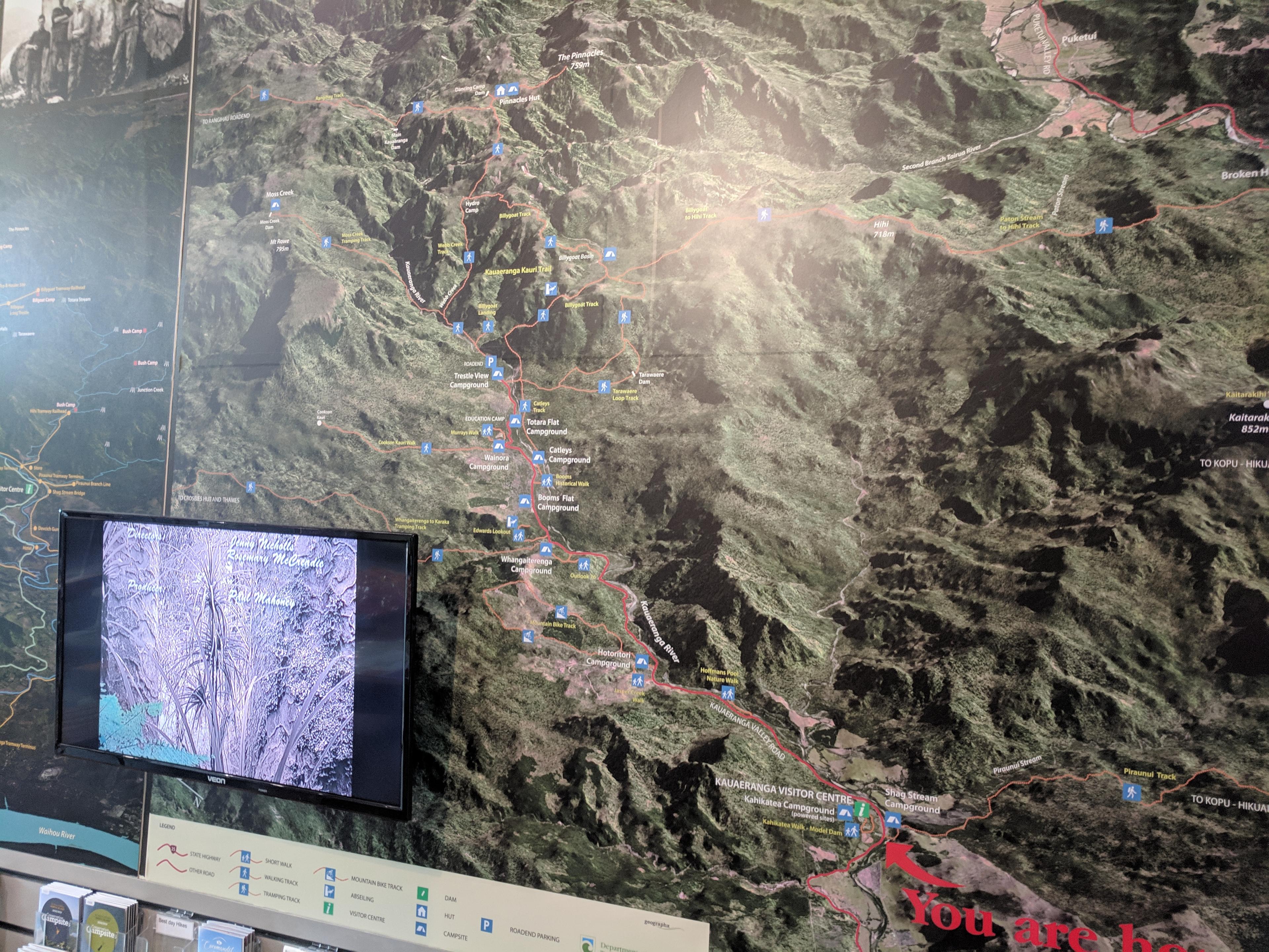 Map of the Kauaeranga Kauri Trail Pinnacles Walk