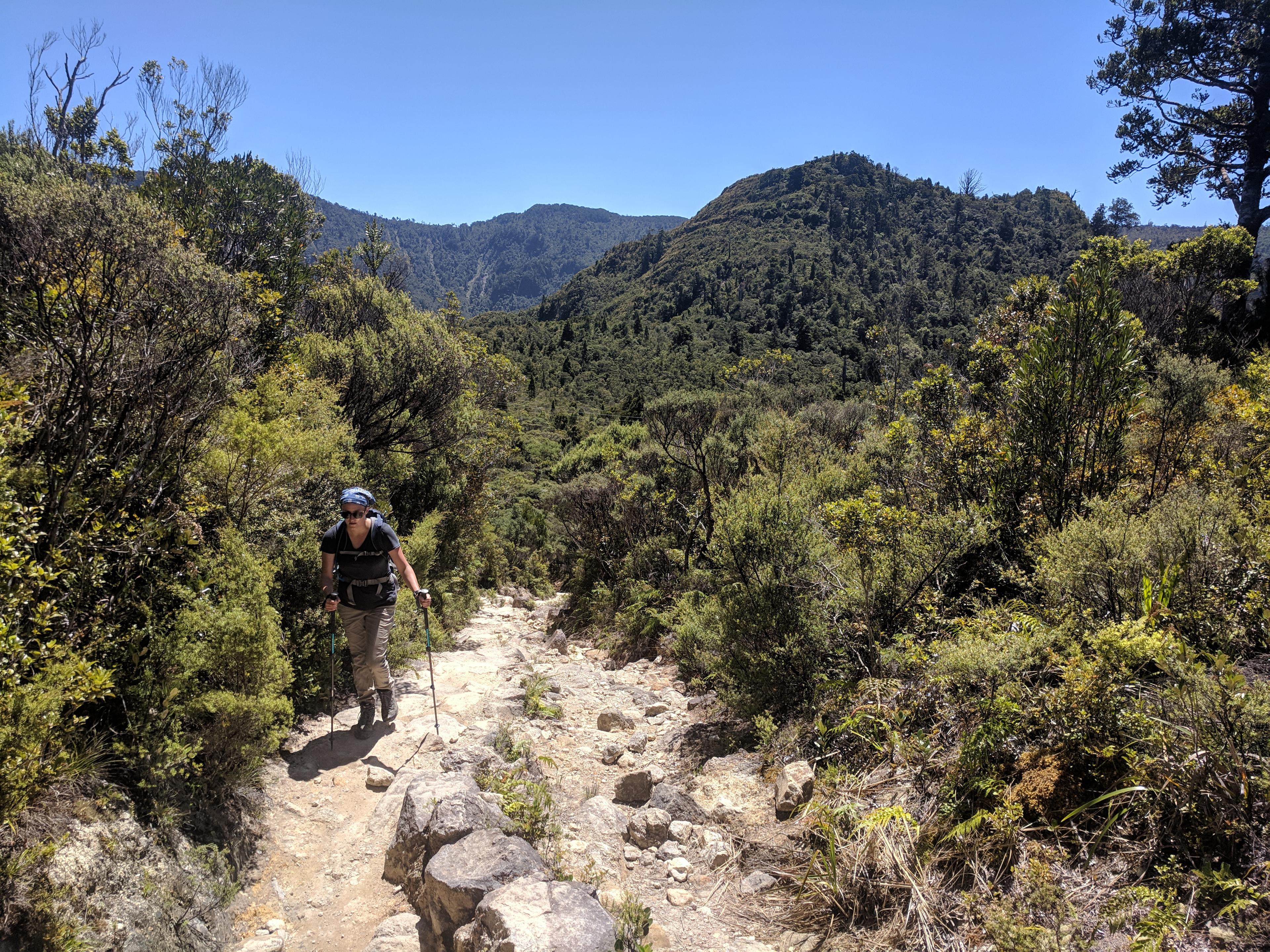 Lauren making her way up the Kauaeranga Kauri Trail Pinnacles Walk