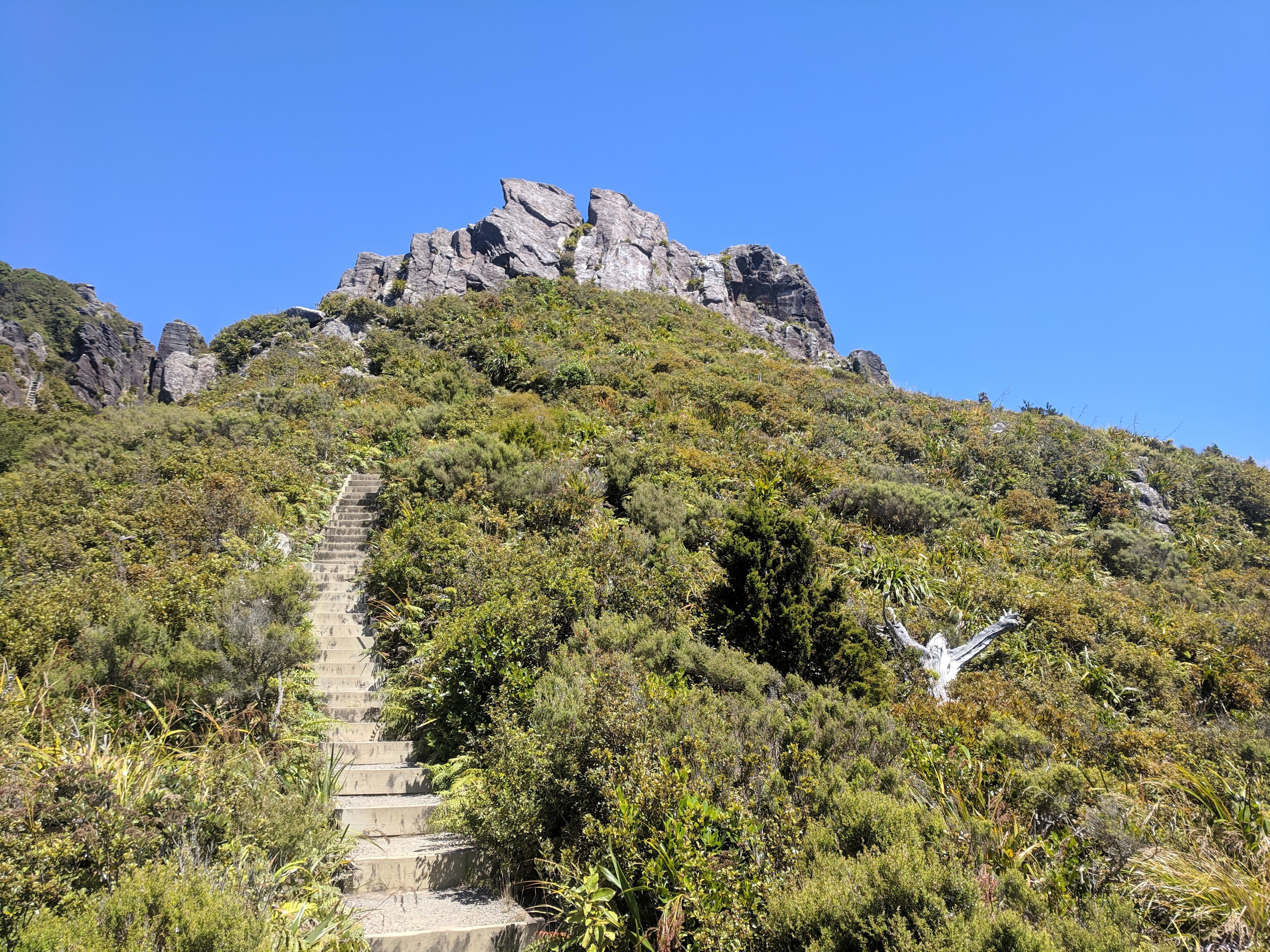 Stairs on the mountain of the Kauaeranga Kauri Trail Pinnacles Walk