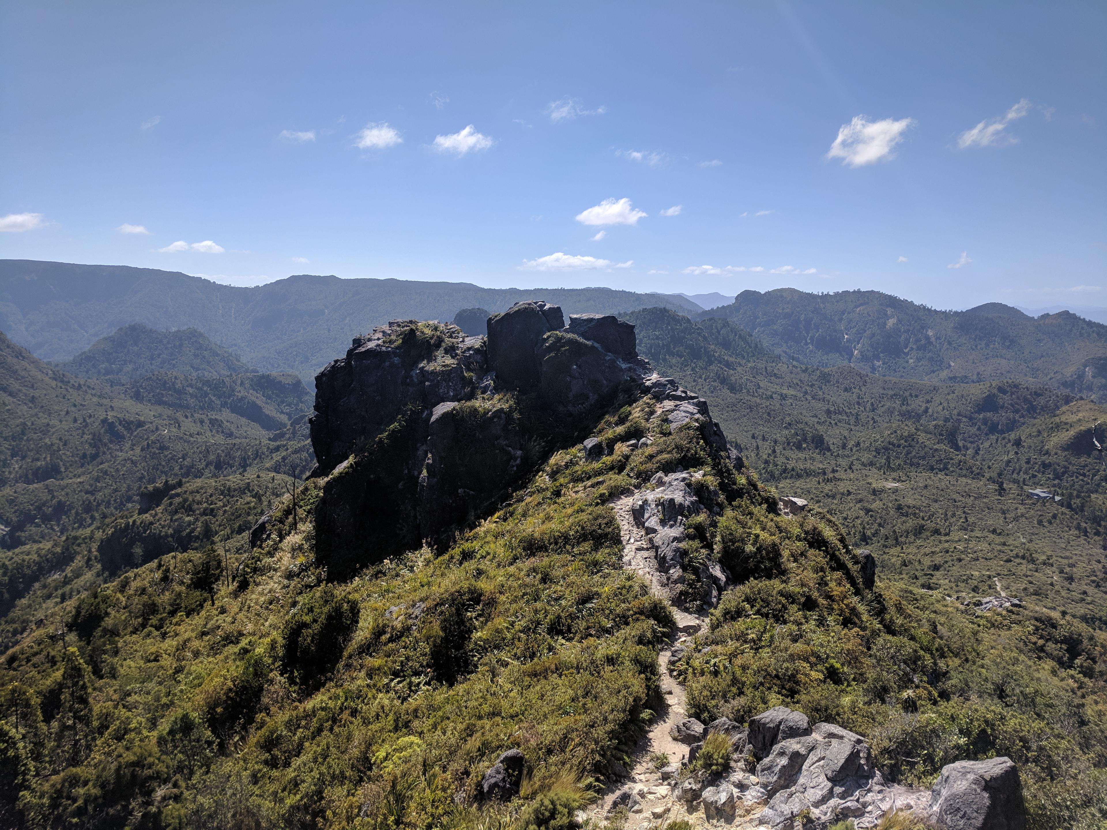 A view from the top of the Kauaeranga Kauri Trail Pinnacles Walk