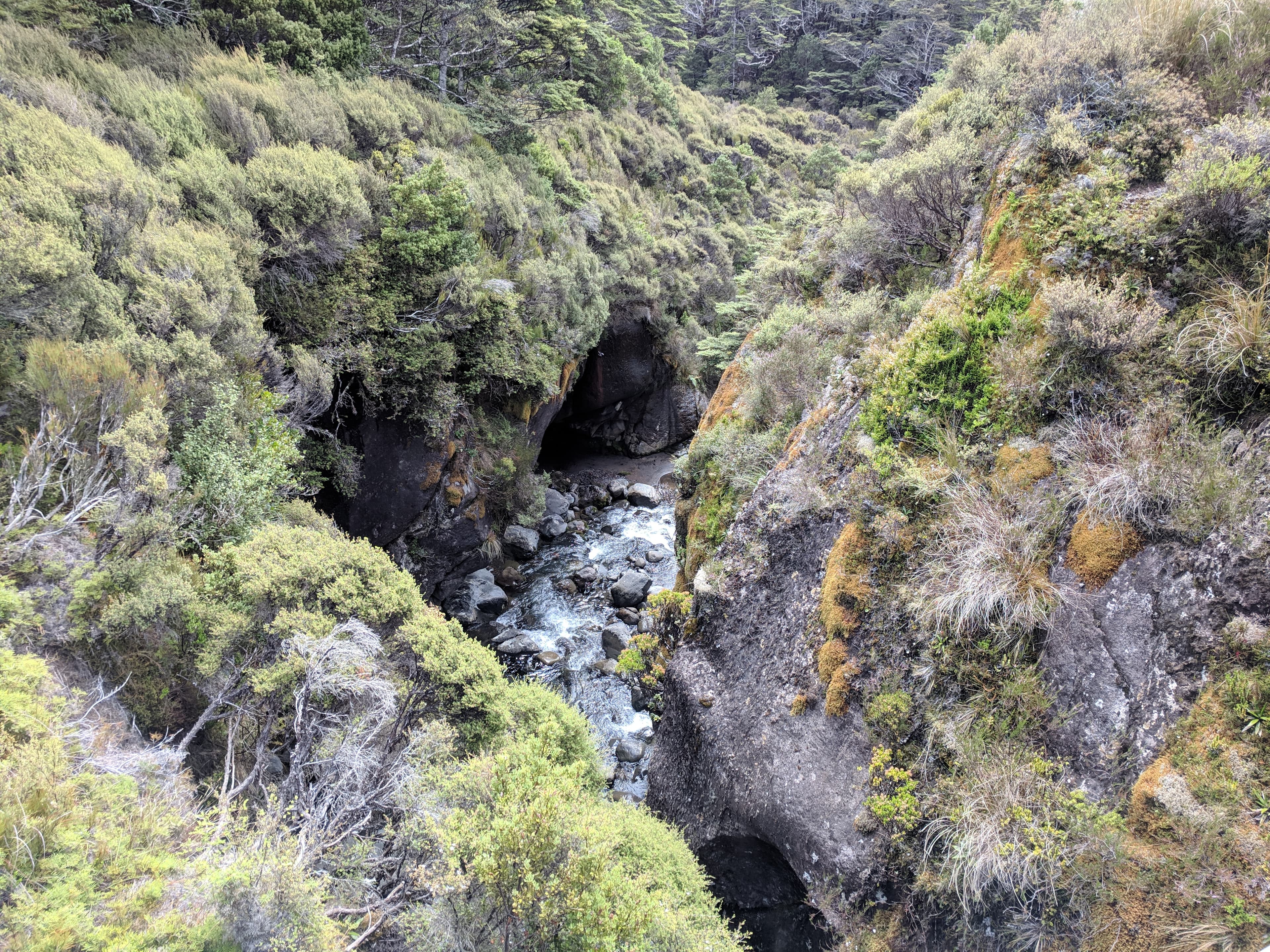 Taranaki Falls