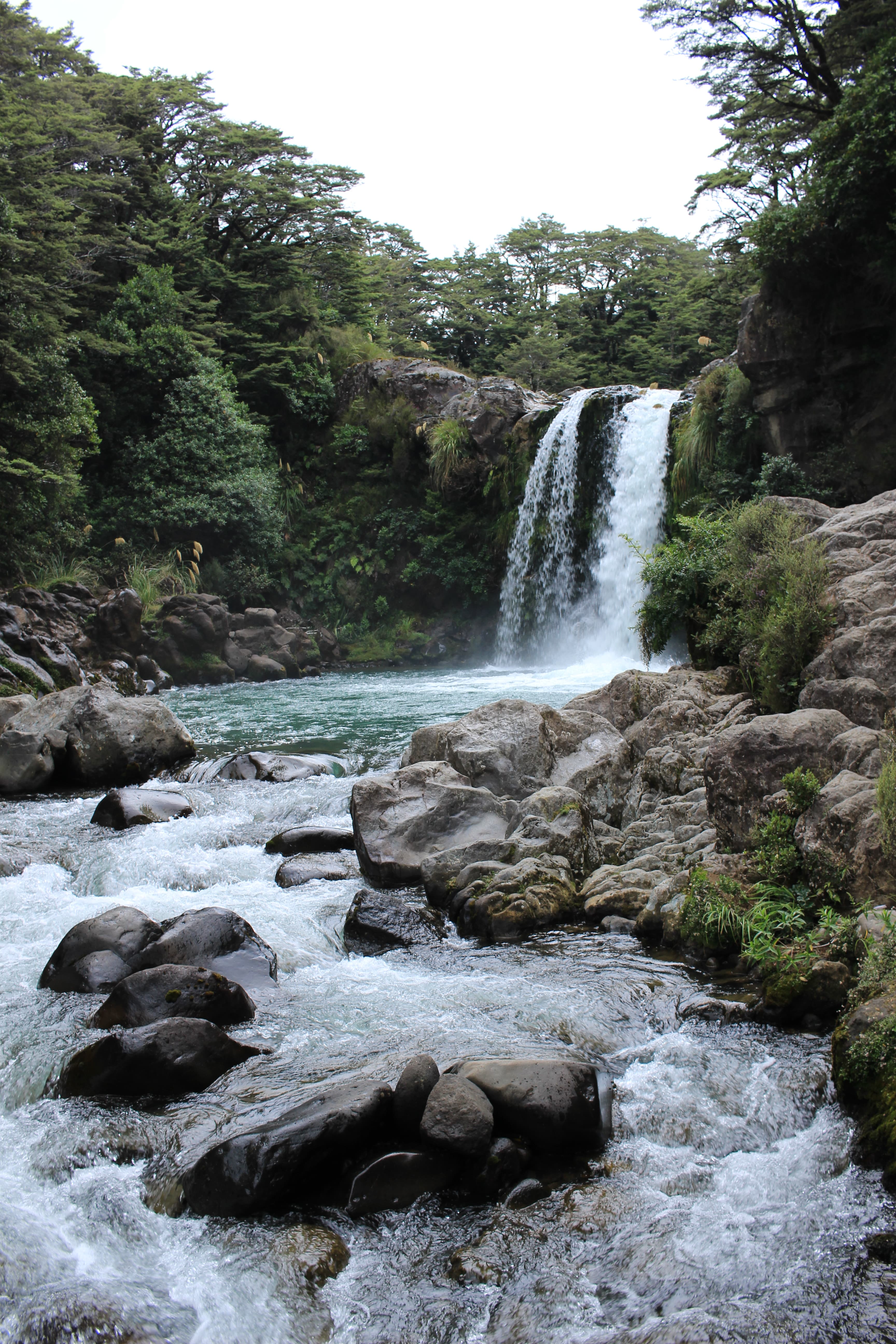 Tawhai Falls: Gollum's Pool