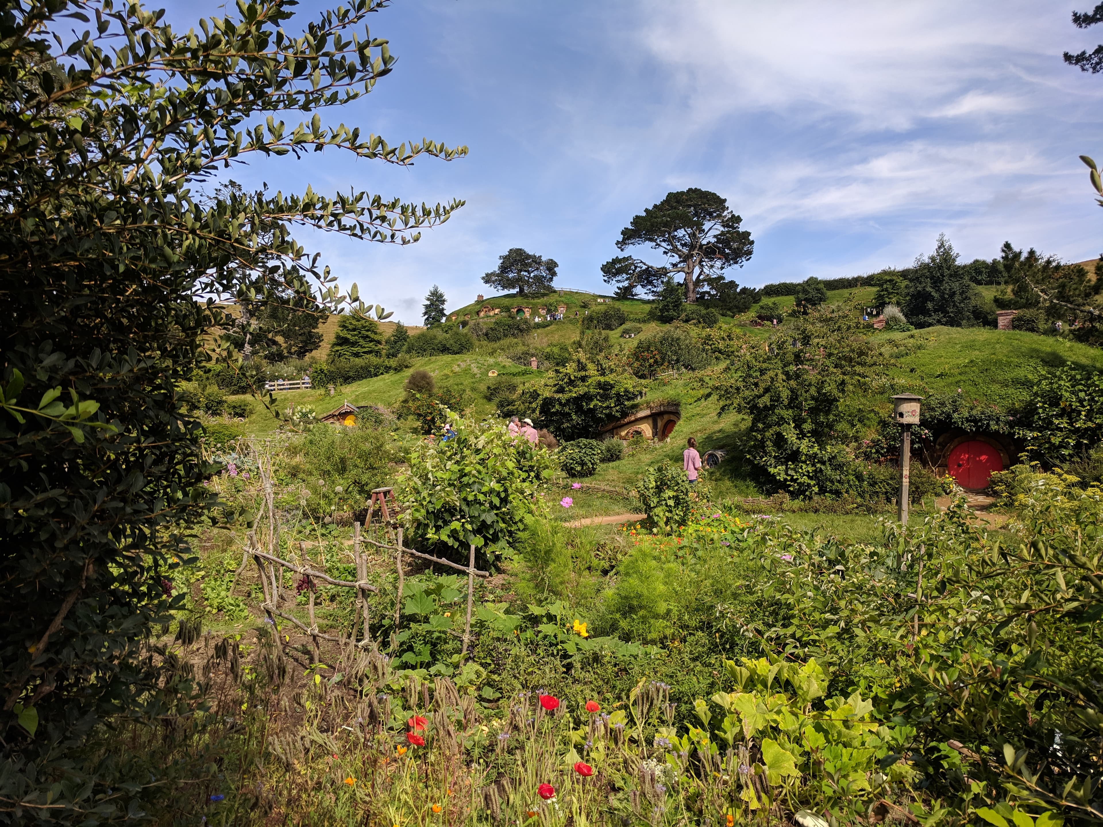 A view from the entrance of hobbiton