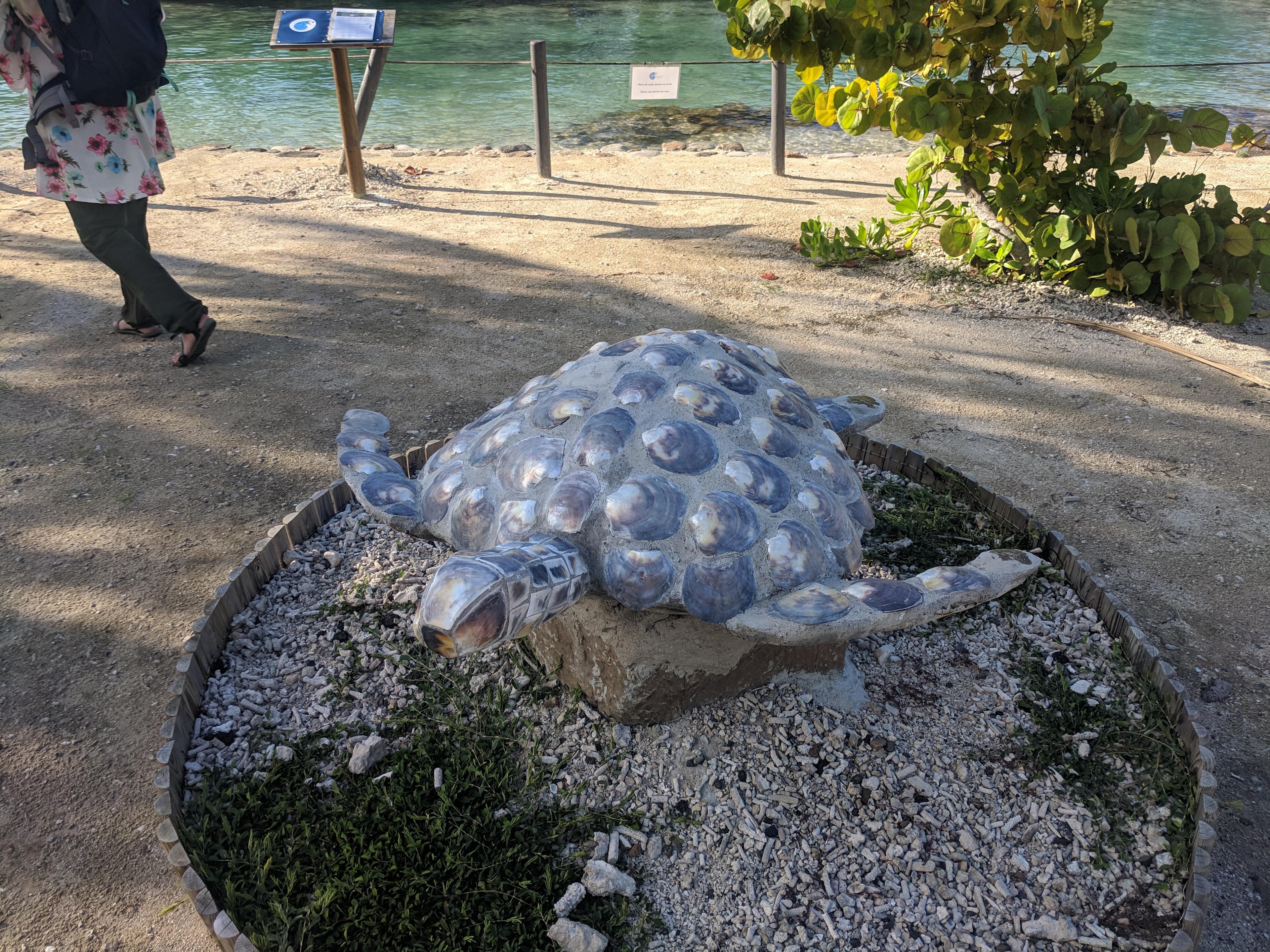 Stone turtle by the Turtle Care Center