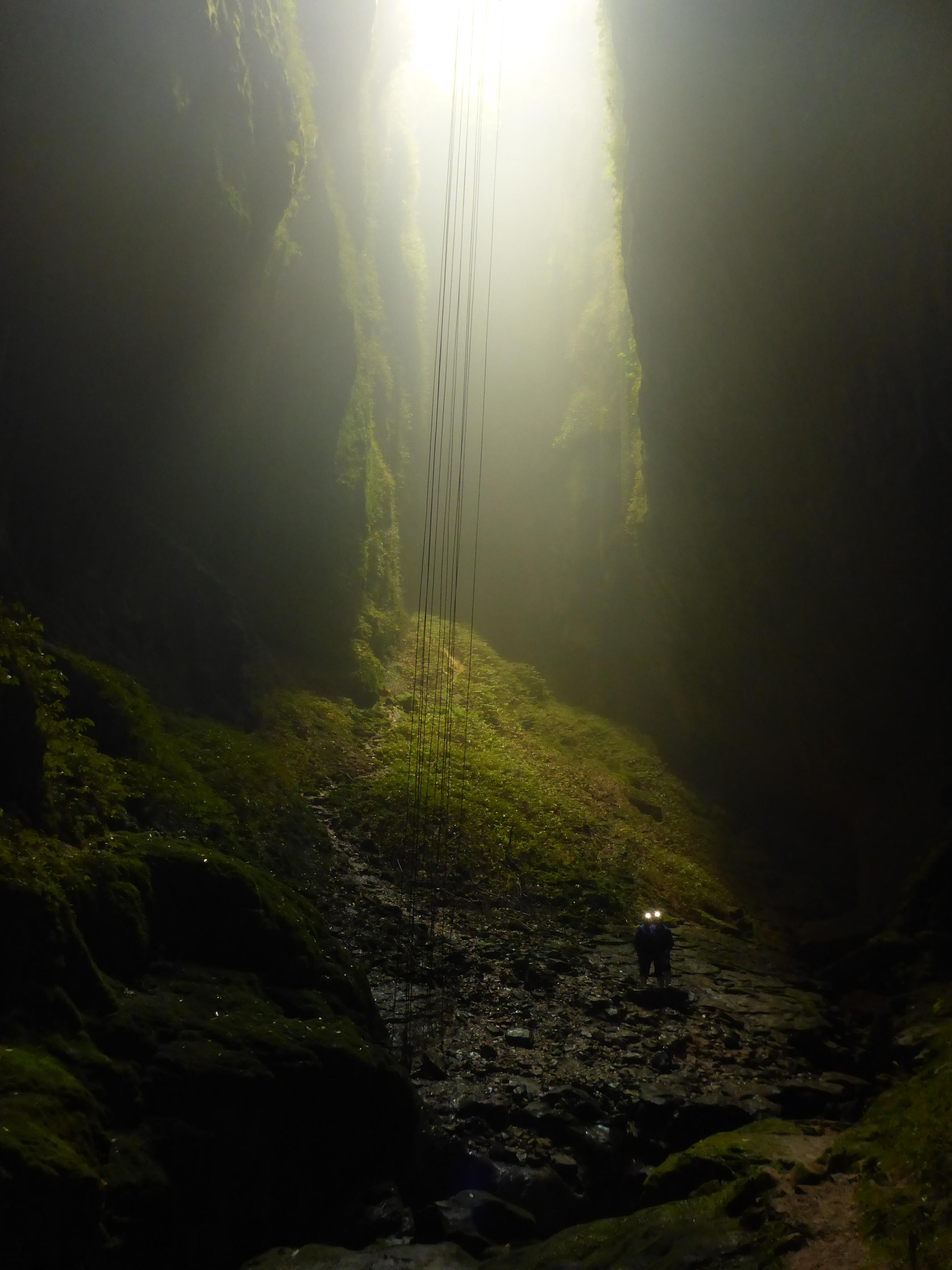 At the bottom of the entrance to Waitomo Caves