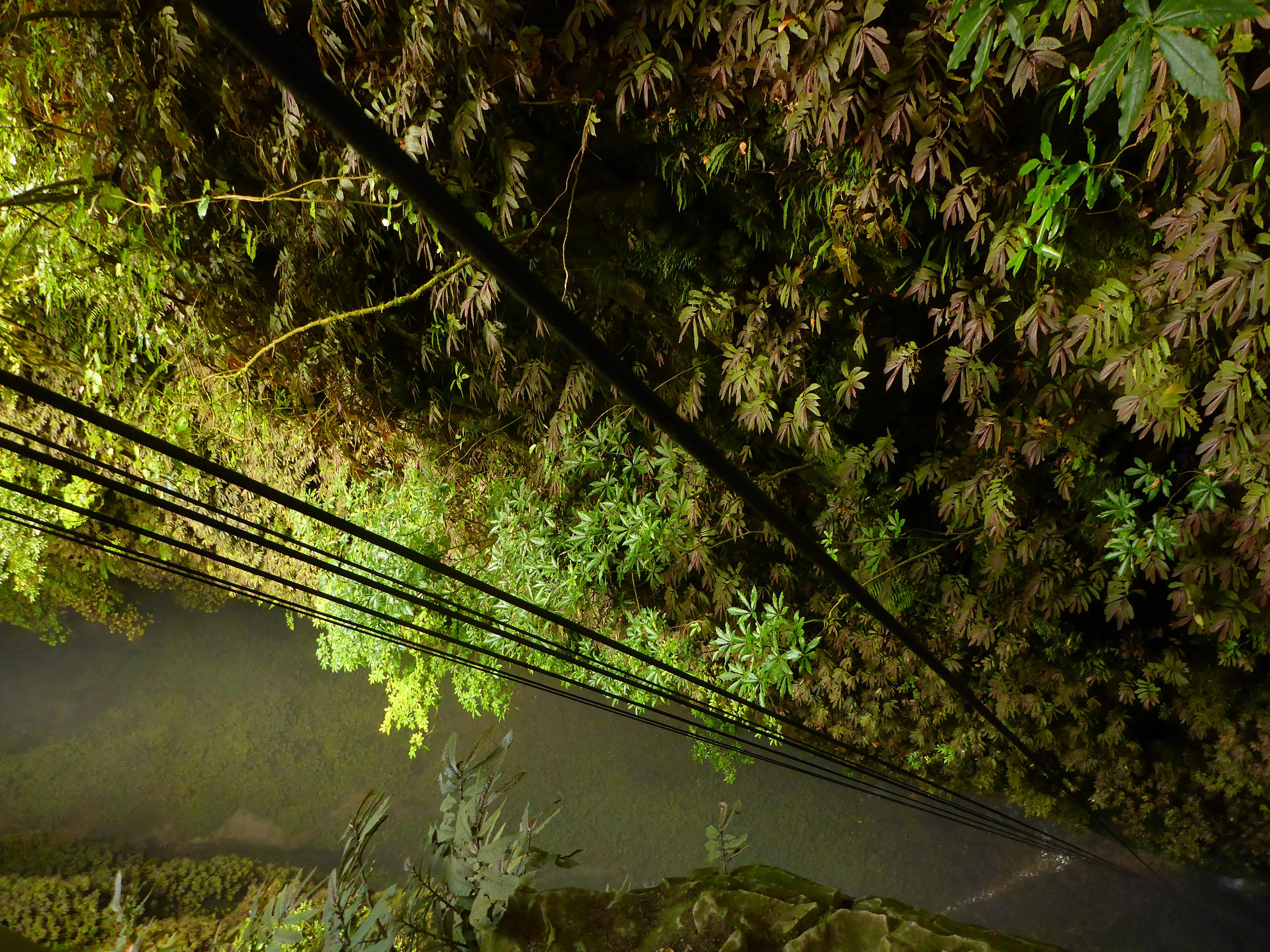 Looking down into Waitomo Caves