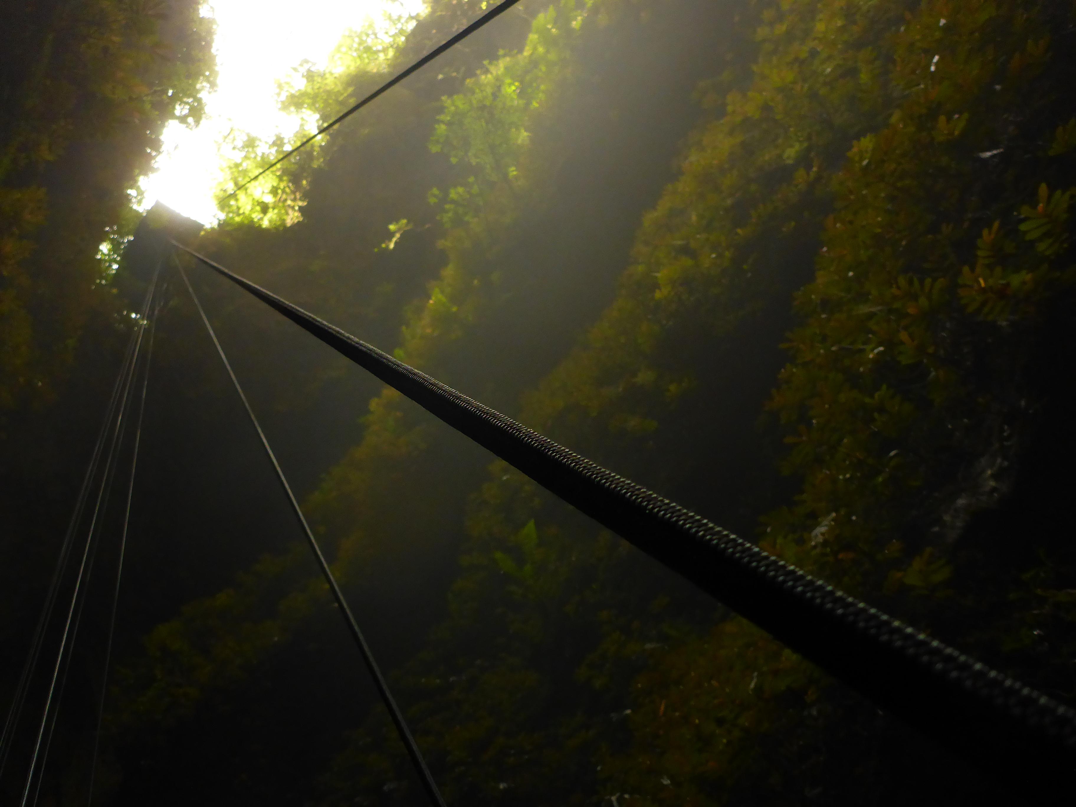 Looking up to the rappel platform from Waitomo Caves