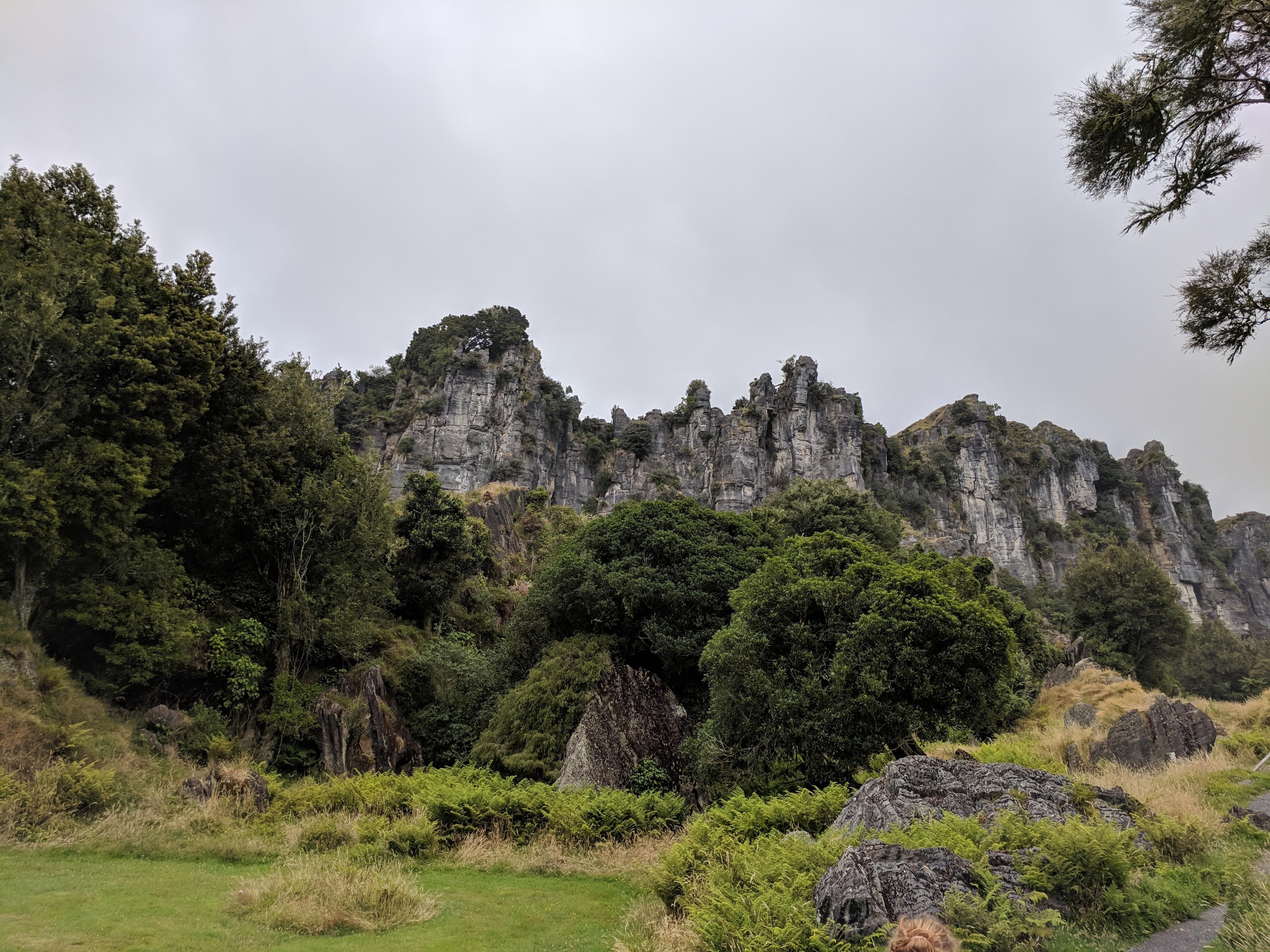 Trollshaws cliffs at Hairy Feet Waitomo