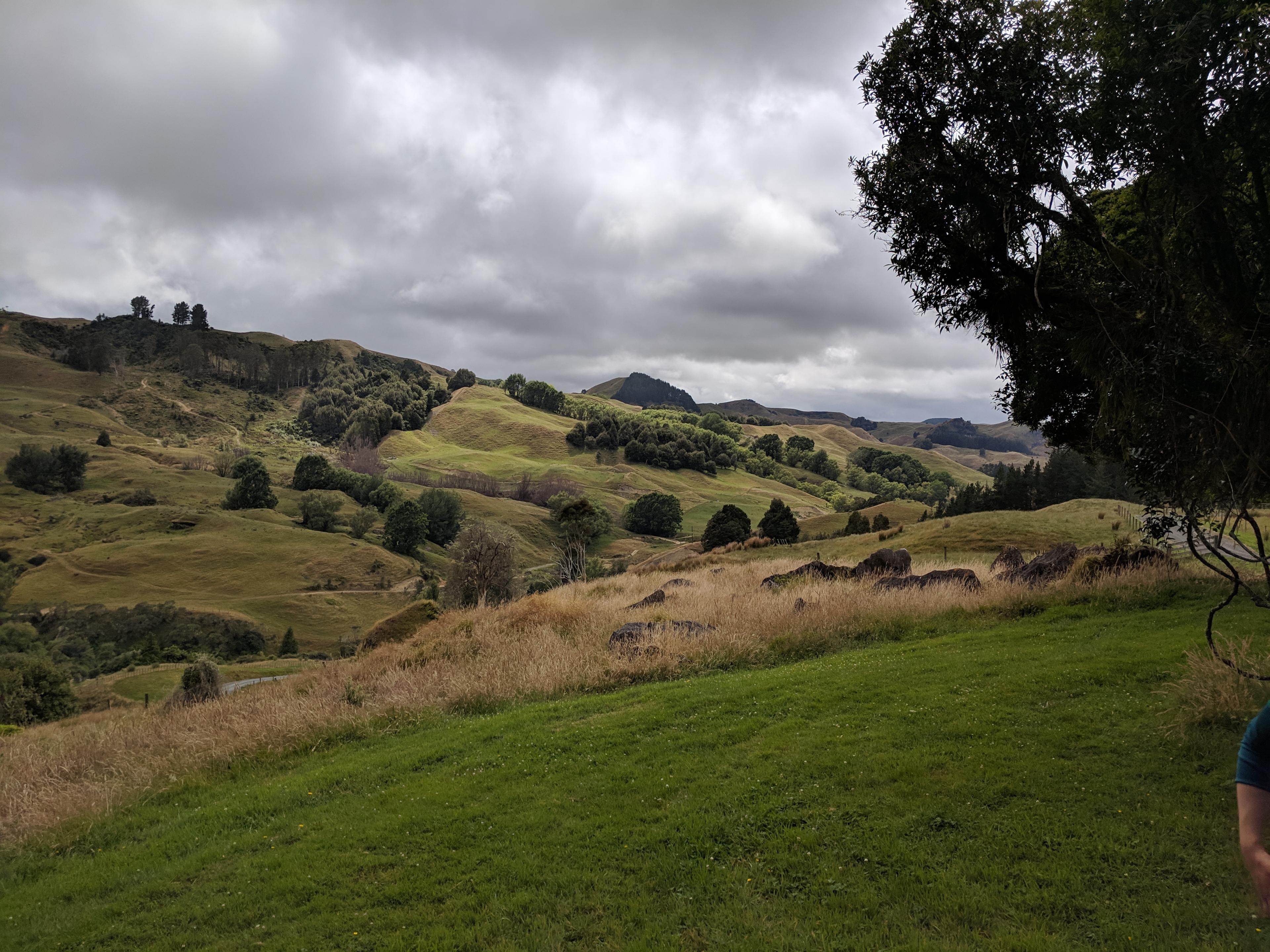 The fields at Hairy Feet Waitomo