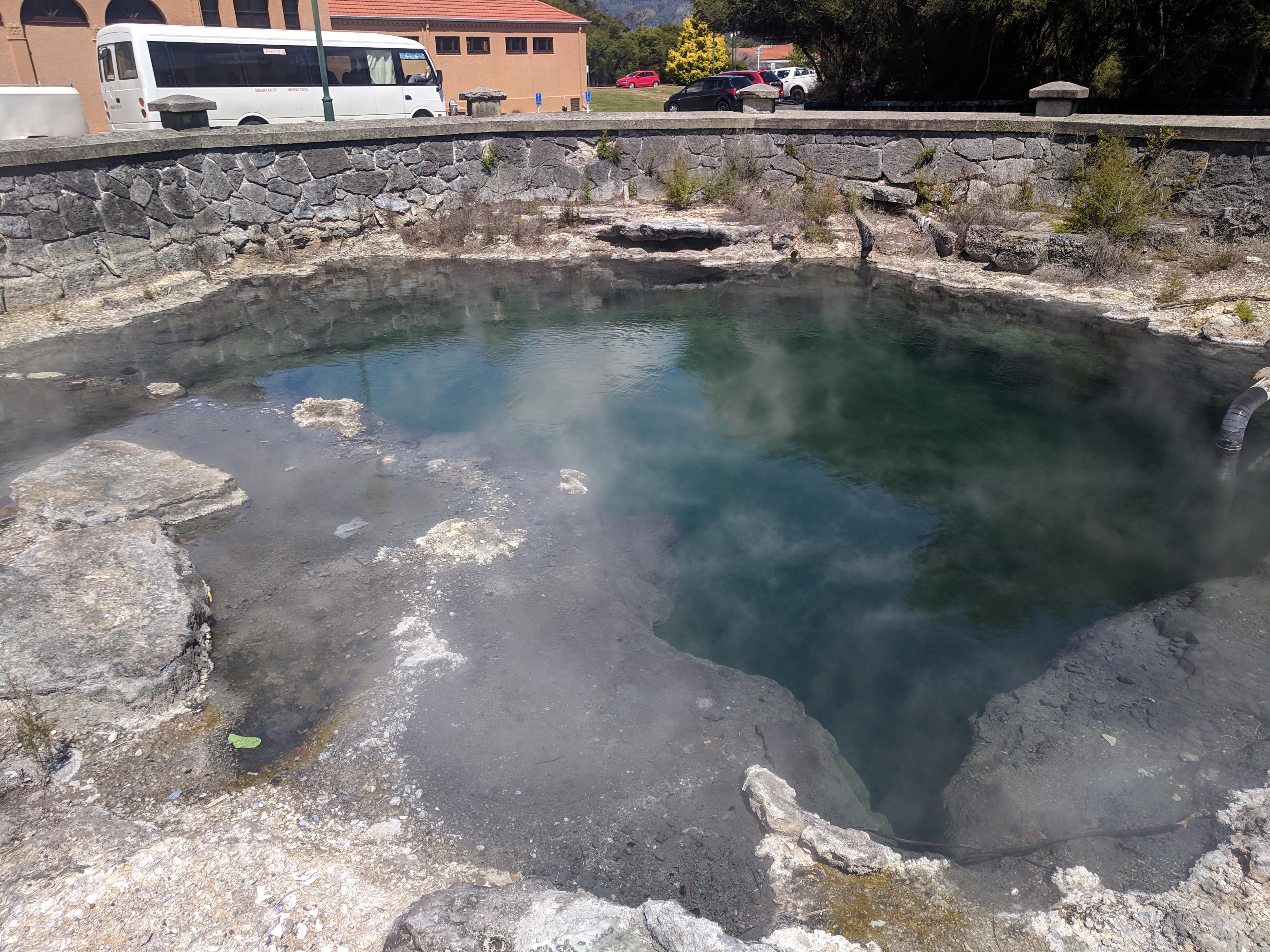 Sulfur pool in downtown Rotorua