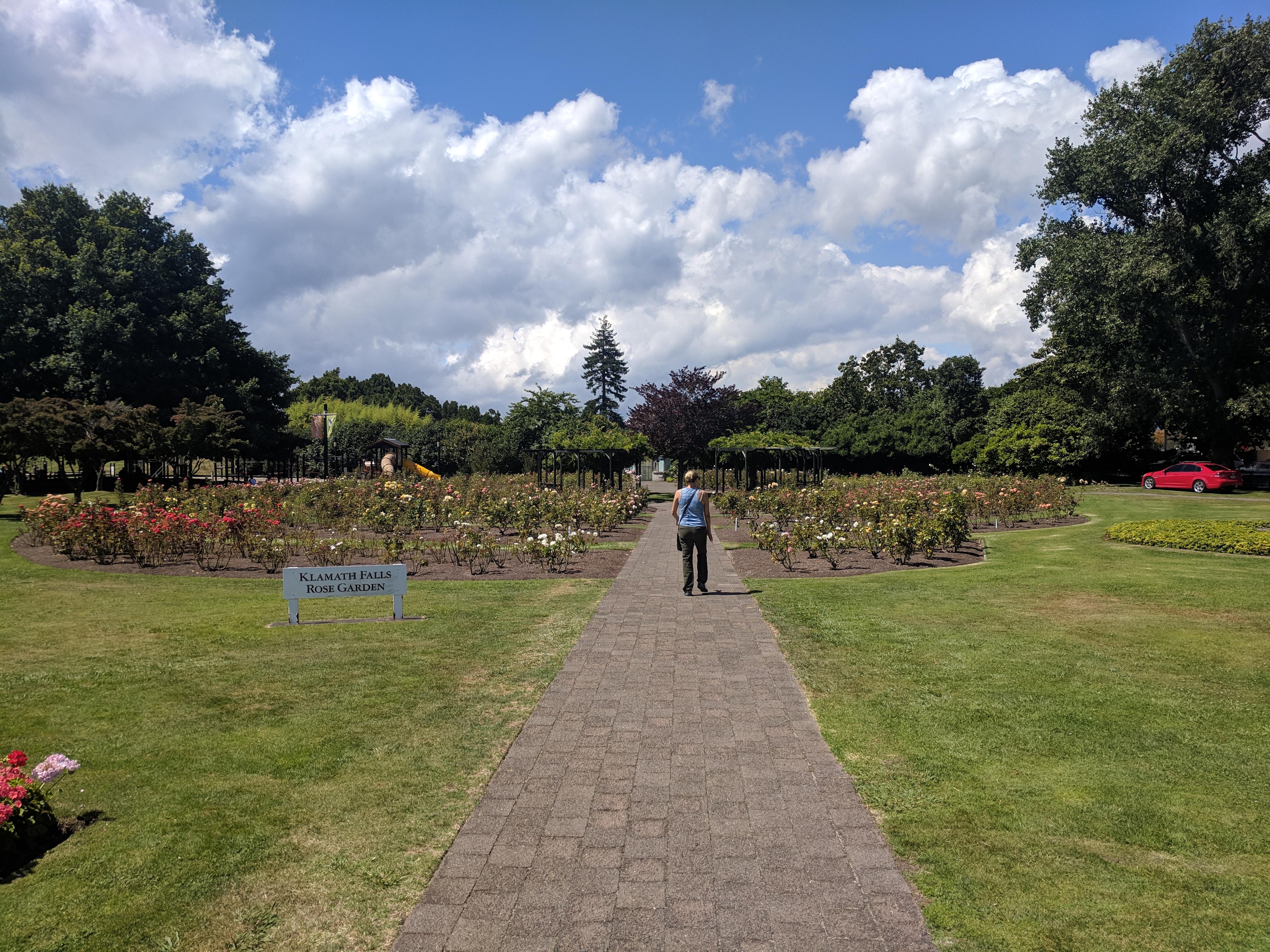 Lauren walking in the Rose garden of Rotorua