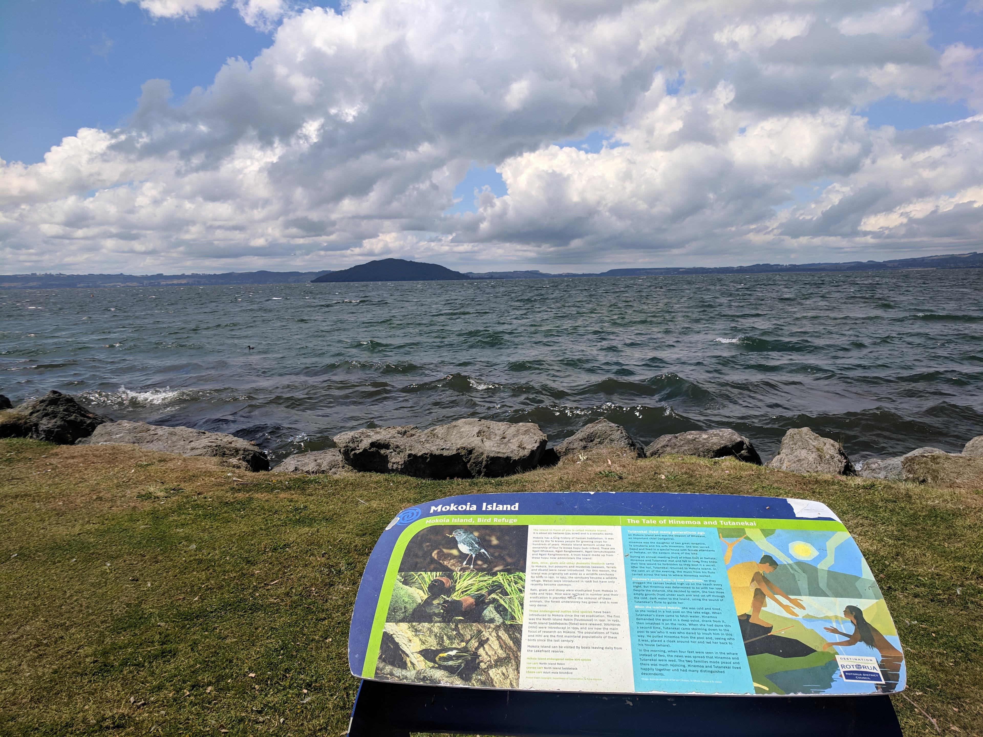 A view of Mokola Island from Rotorua