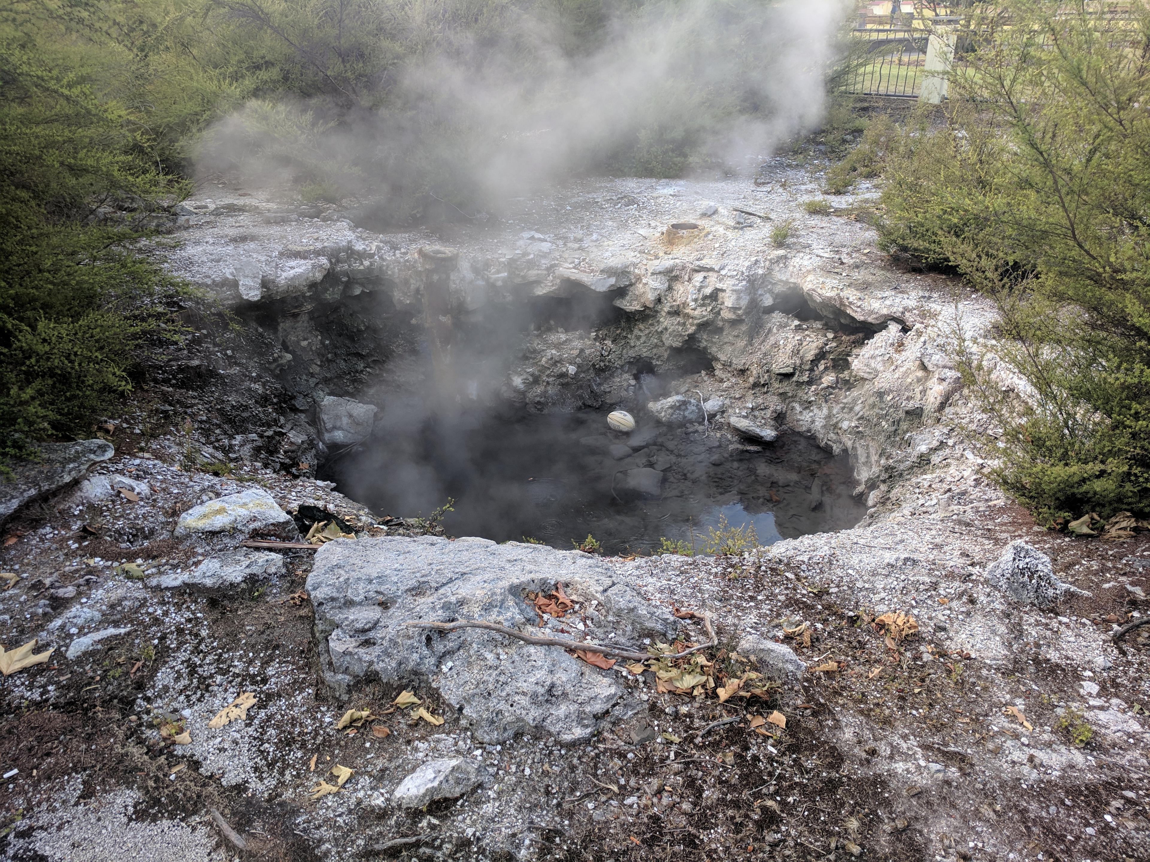 Cover Image for Rotorua Part 1: Exploring Downtown, Redwoods, and Kerosene Creek