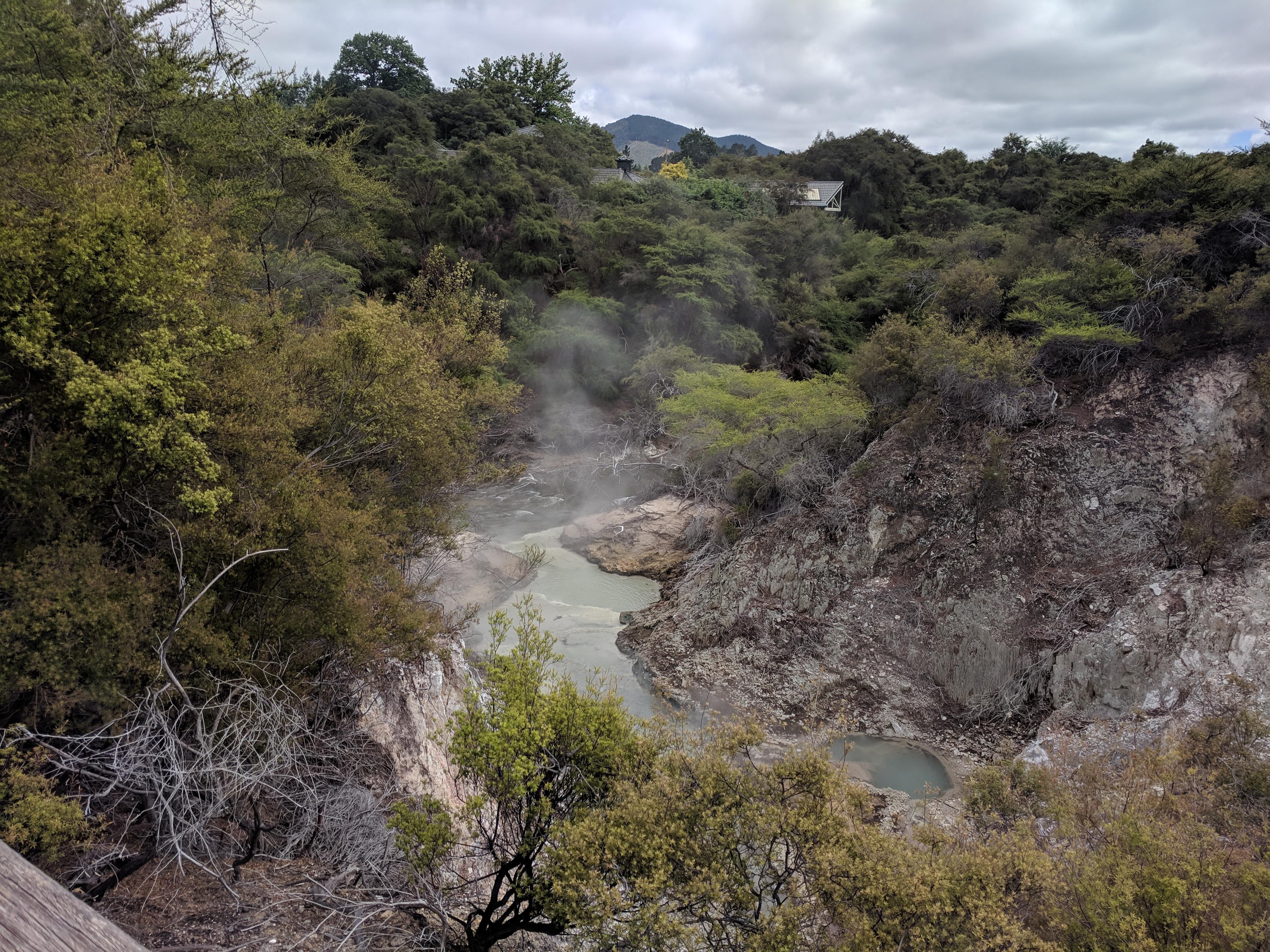 Steaming gorge at Wai-O-Tapu Thermal Wonderland