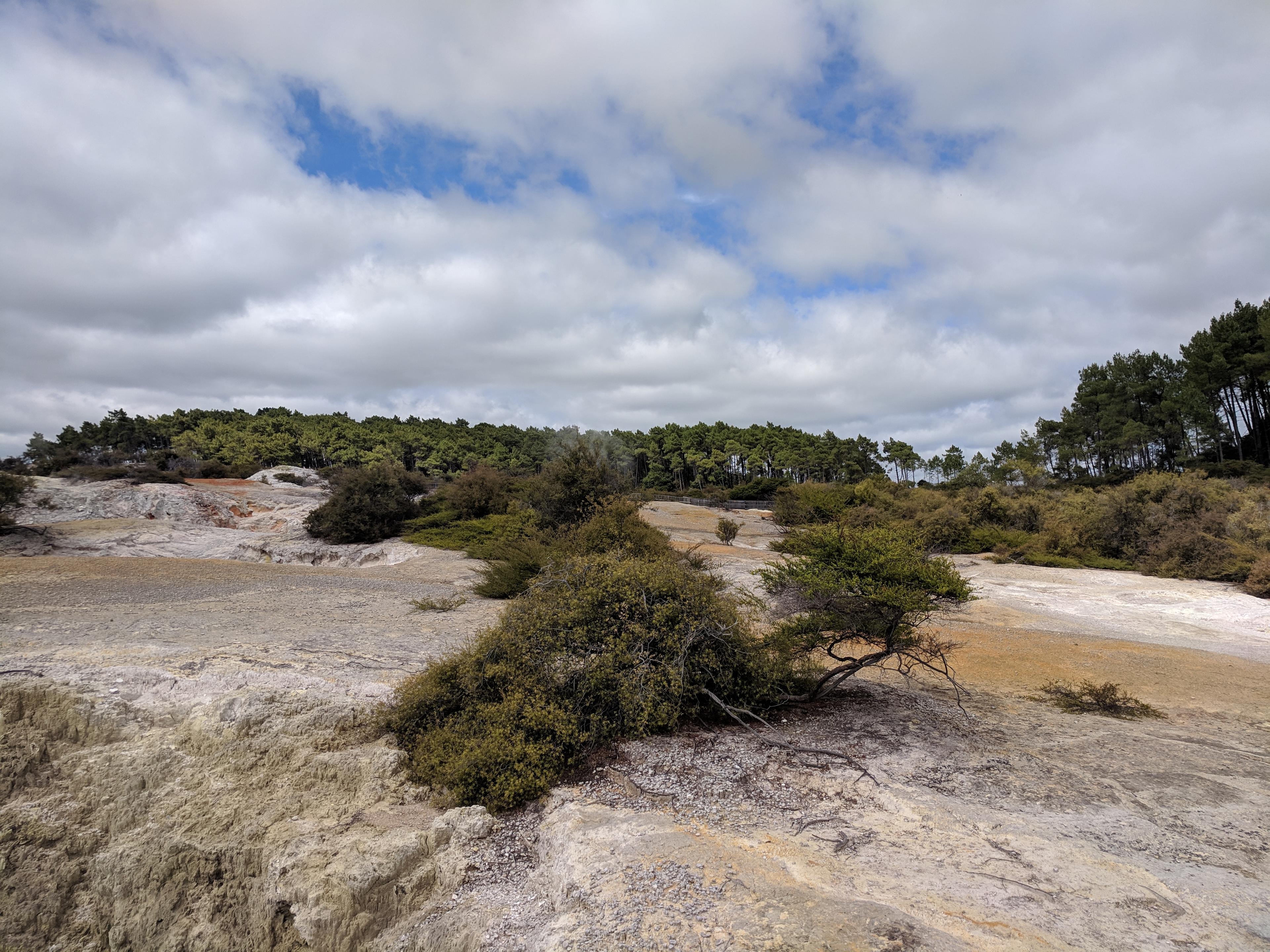 Geothermal rocks at Wai-O-Tapu Thermal Wonderland