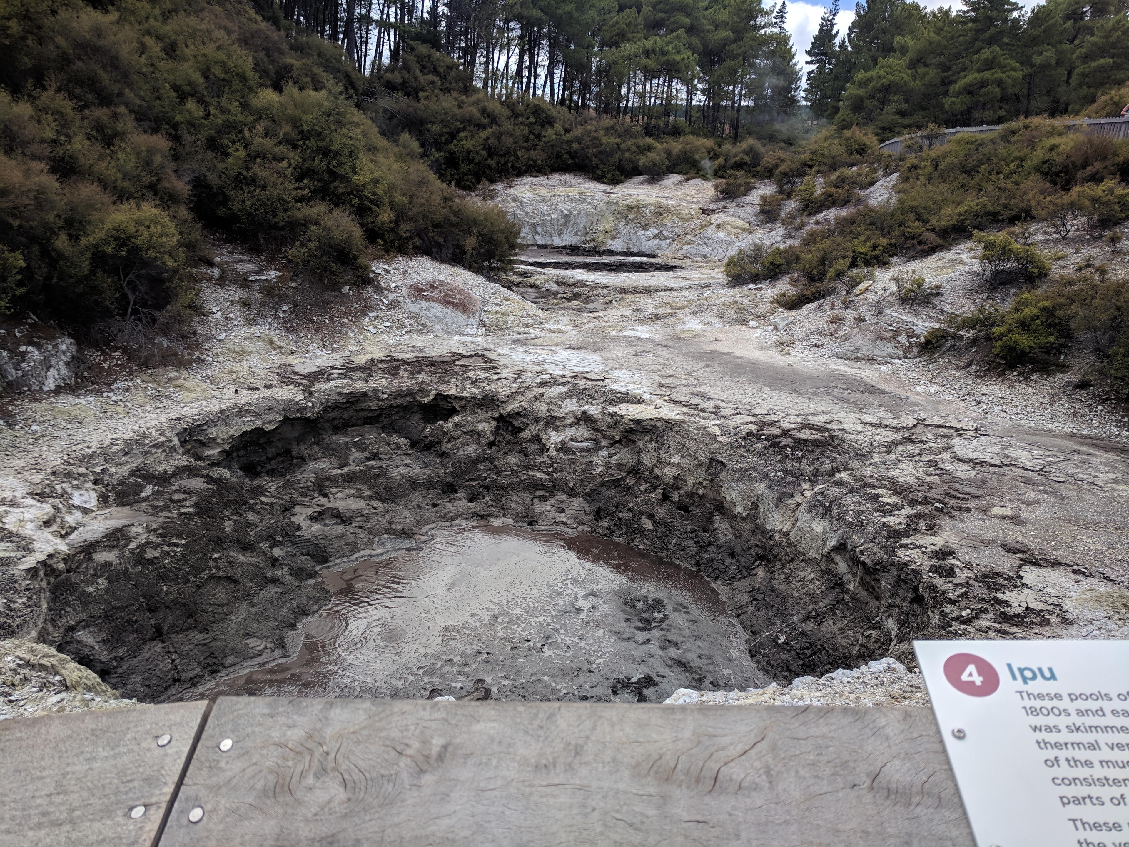 Mud pit at Wai-O-Tapu Thermal Wonderland