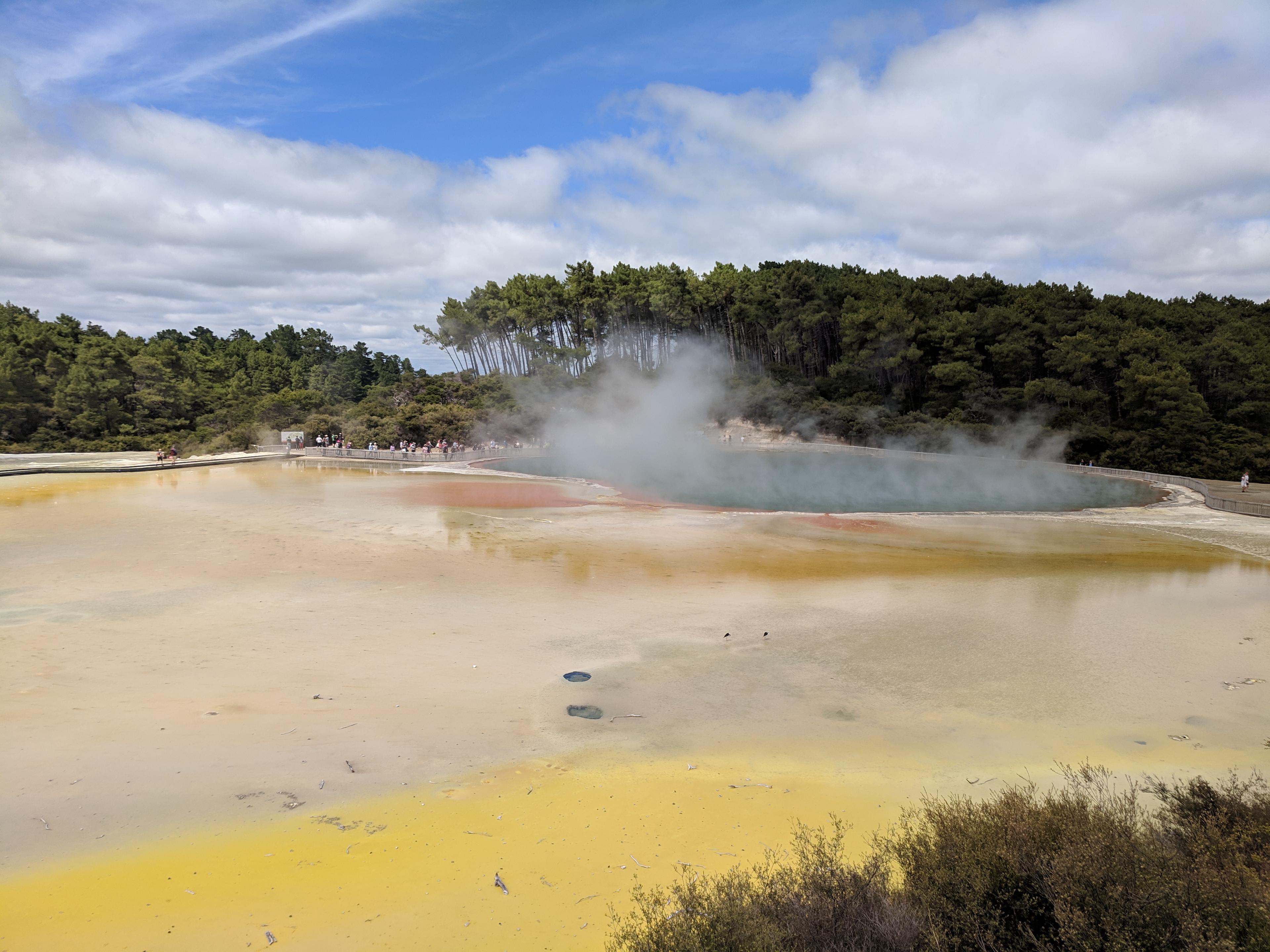 Colorful steaming pools at Wai-O-Tapu Thermal Wonderland