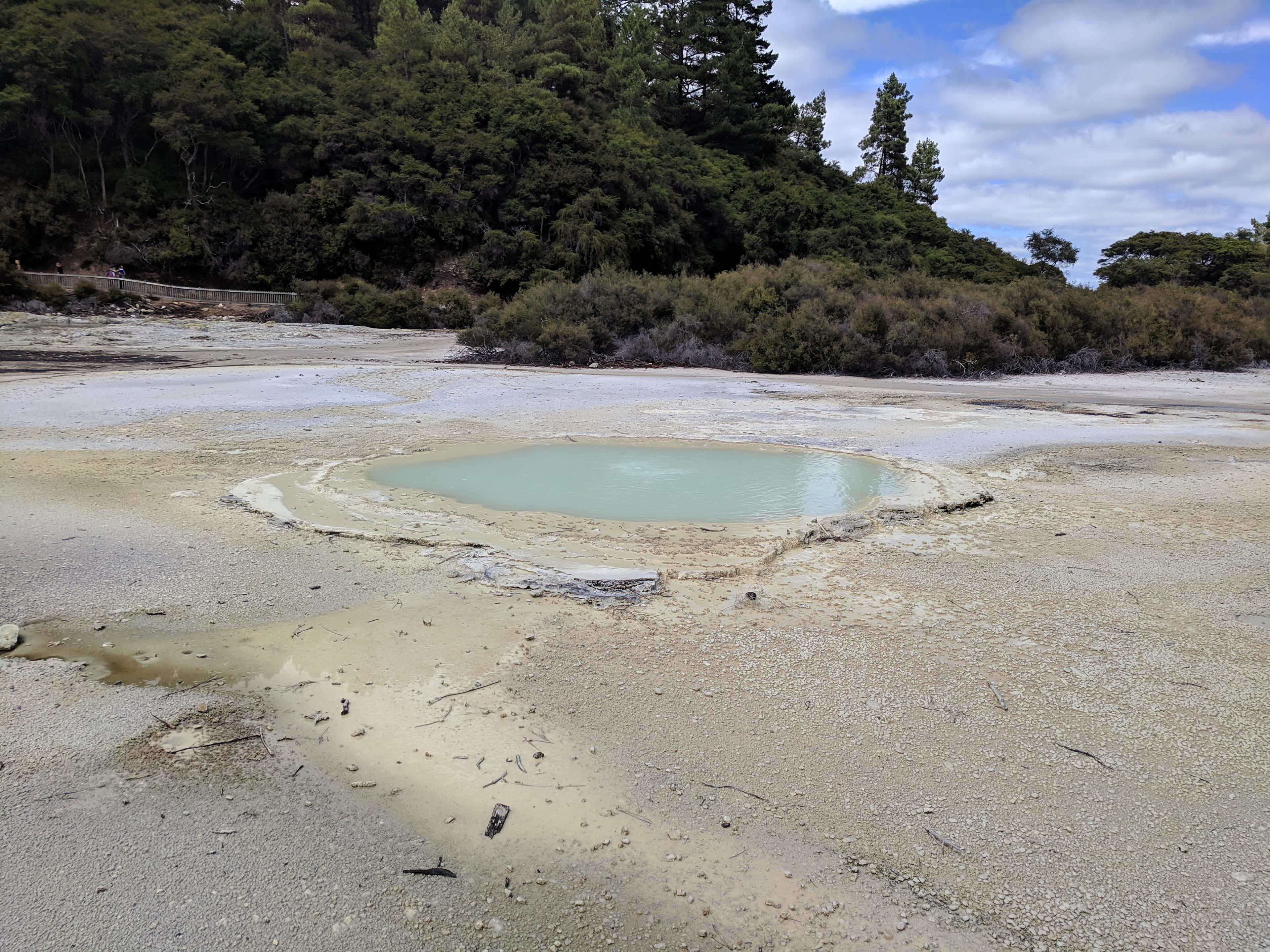 Bubbling pool at Wai-O-Tapu Thermal Wonderland