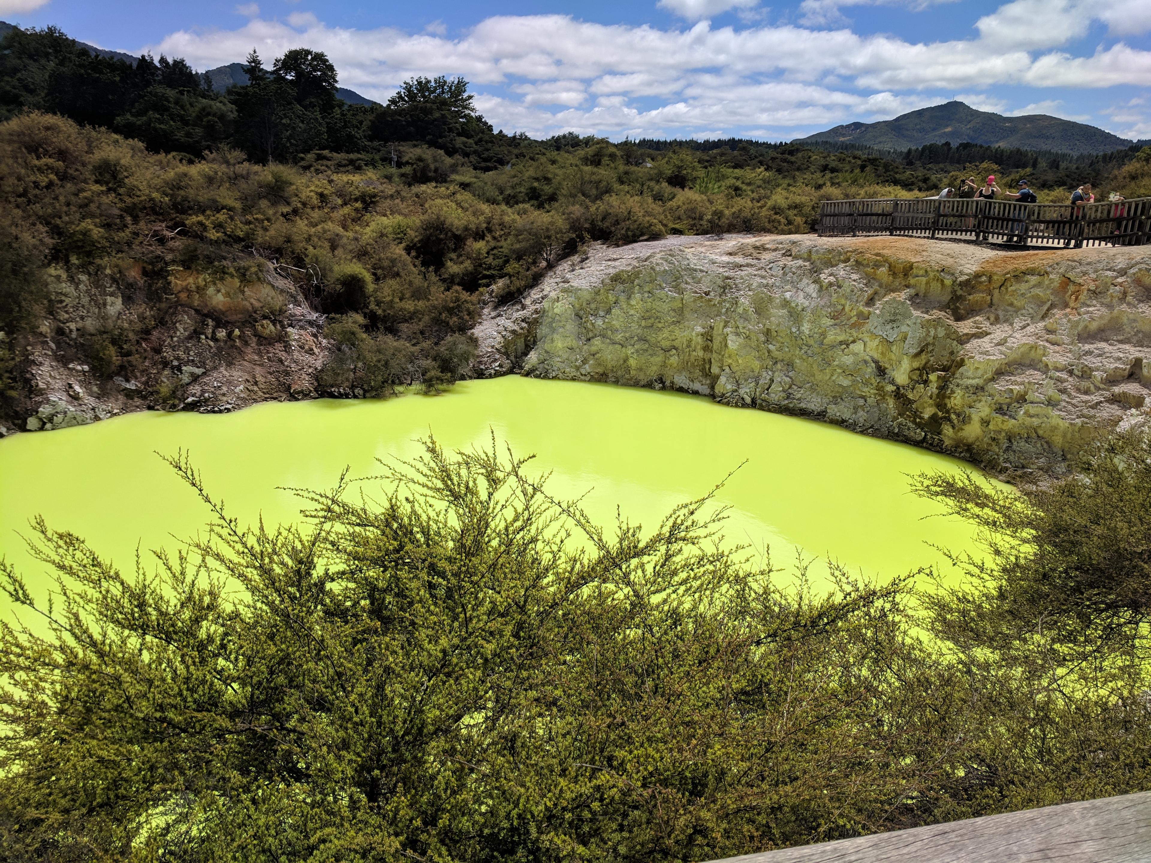 Green pool at Wai-O-Tapu Thermal Wonderland