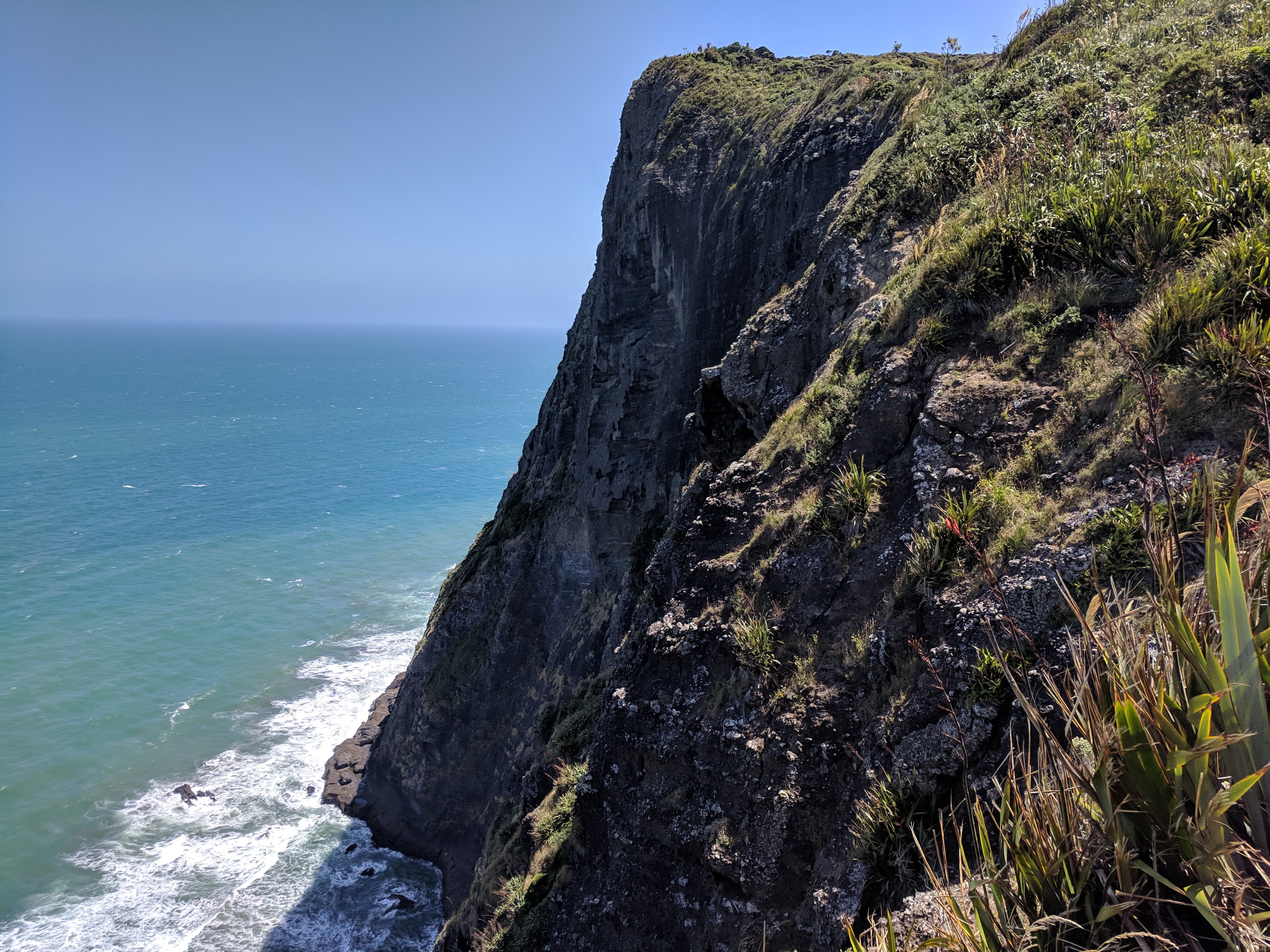 Mercer Bay Loop cliffside Mercer Bay Loop cliffside