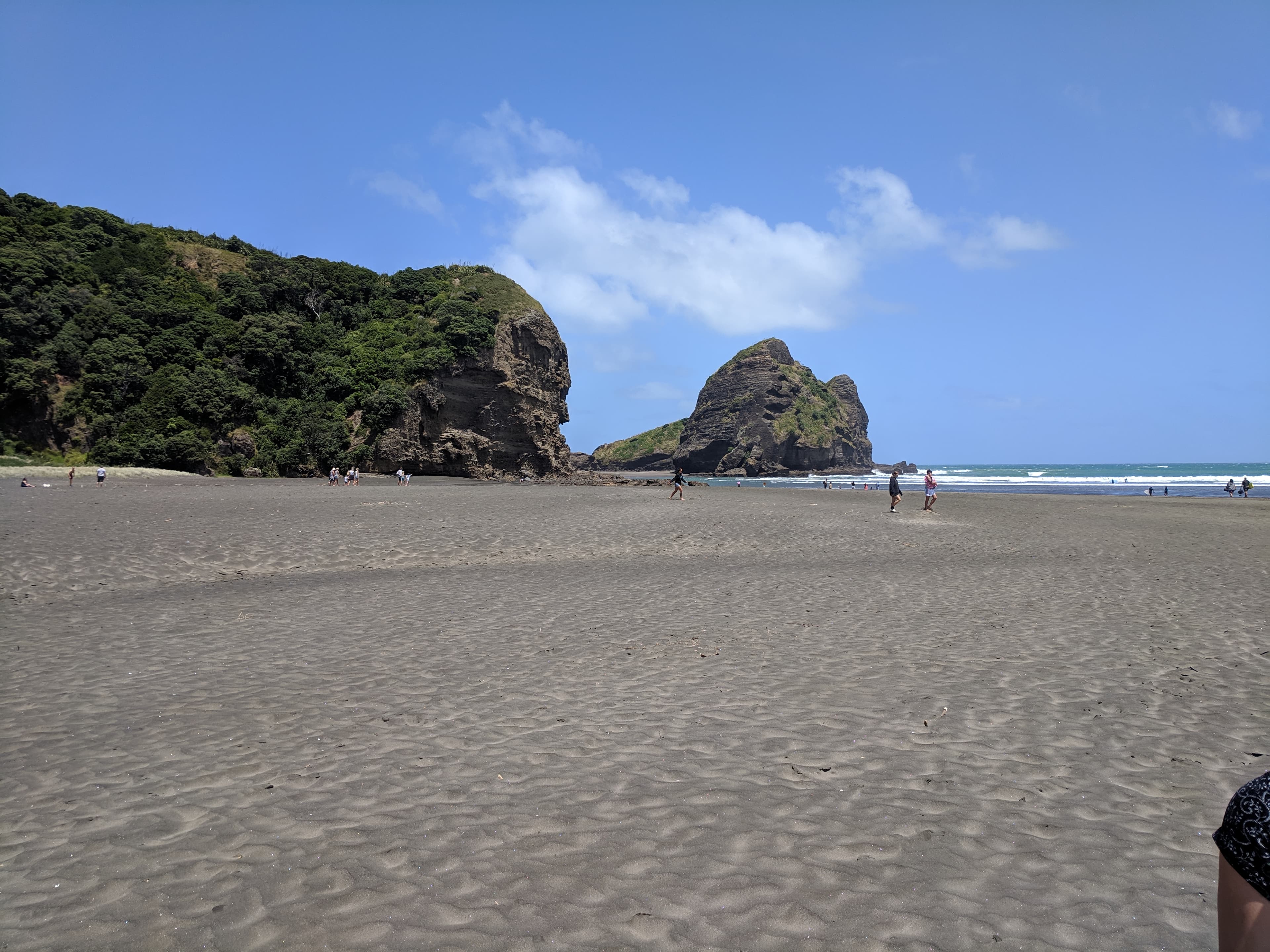A good look at Piha beach A good look at Piha beach