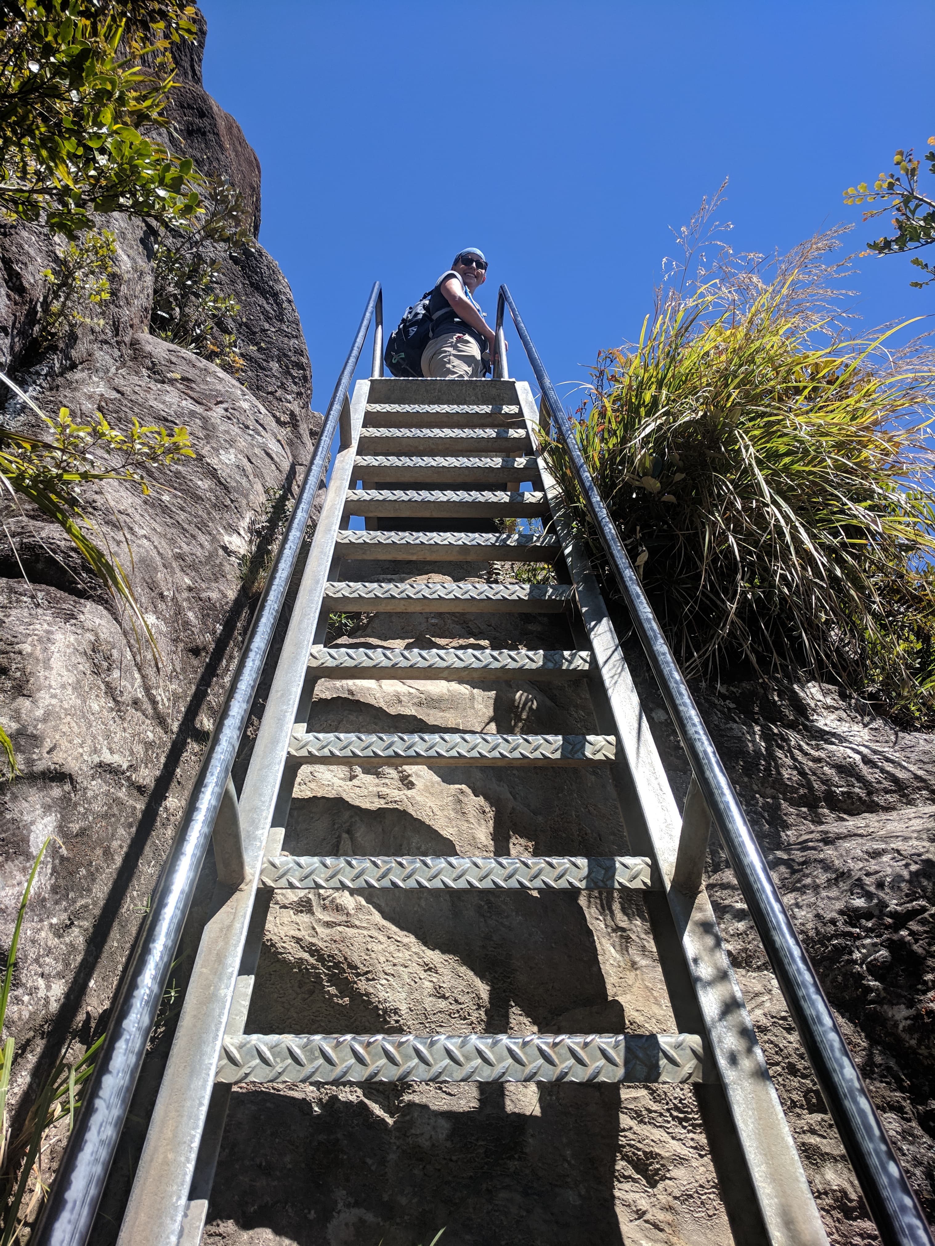 Laddering to the top of the Kauaeranga Kauri Trail Pinnacles Walk Laddering to the top of the Kauaeranga Kauri Trail Pinnacles Walk