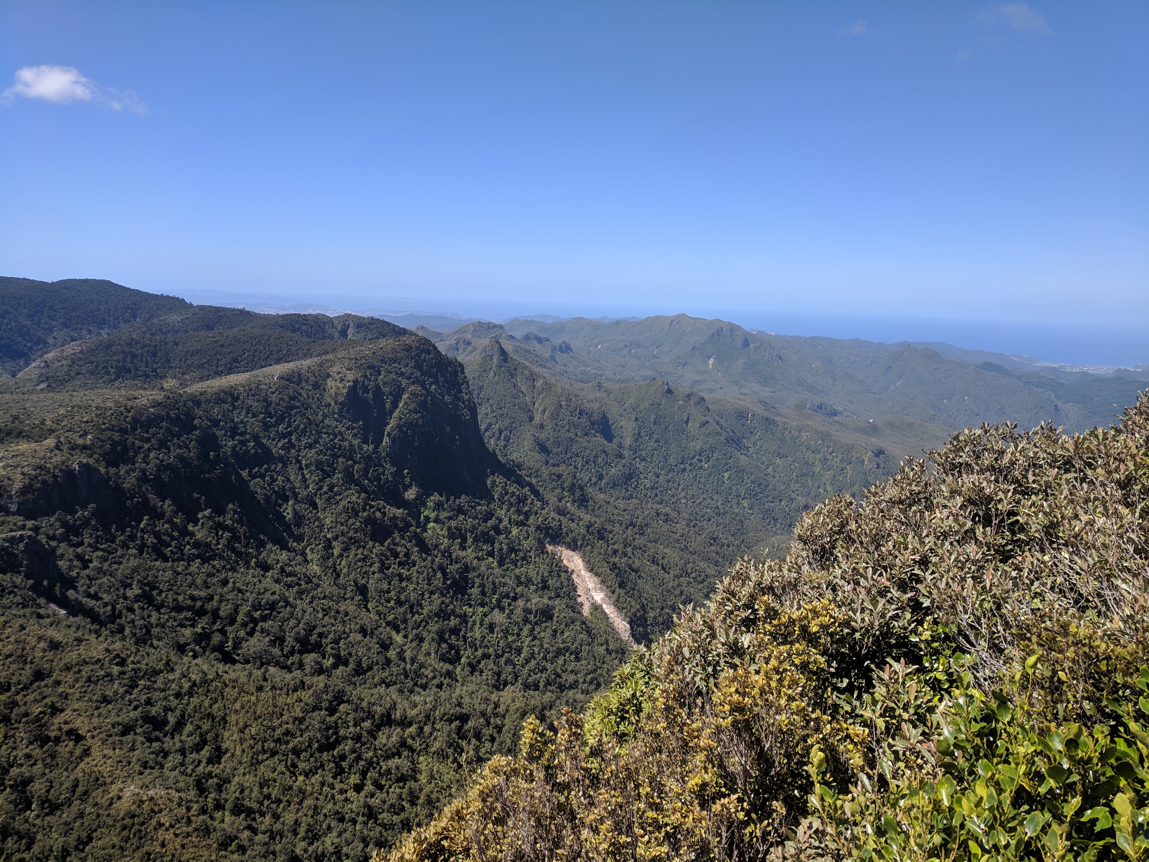 A view of the ocean from the top of the Kauaeranga Kauri Trail Pinnacles Walk A view of the ocean from the top of the Kauaeranga Kauri Trail Pinnacles Walk