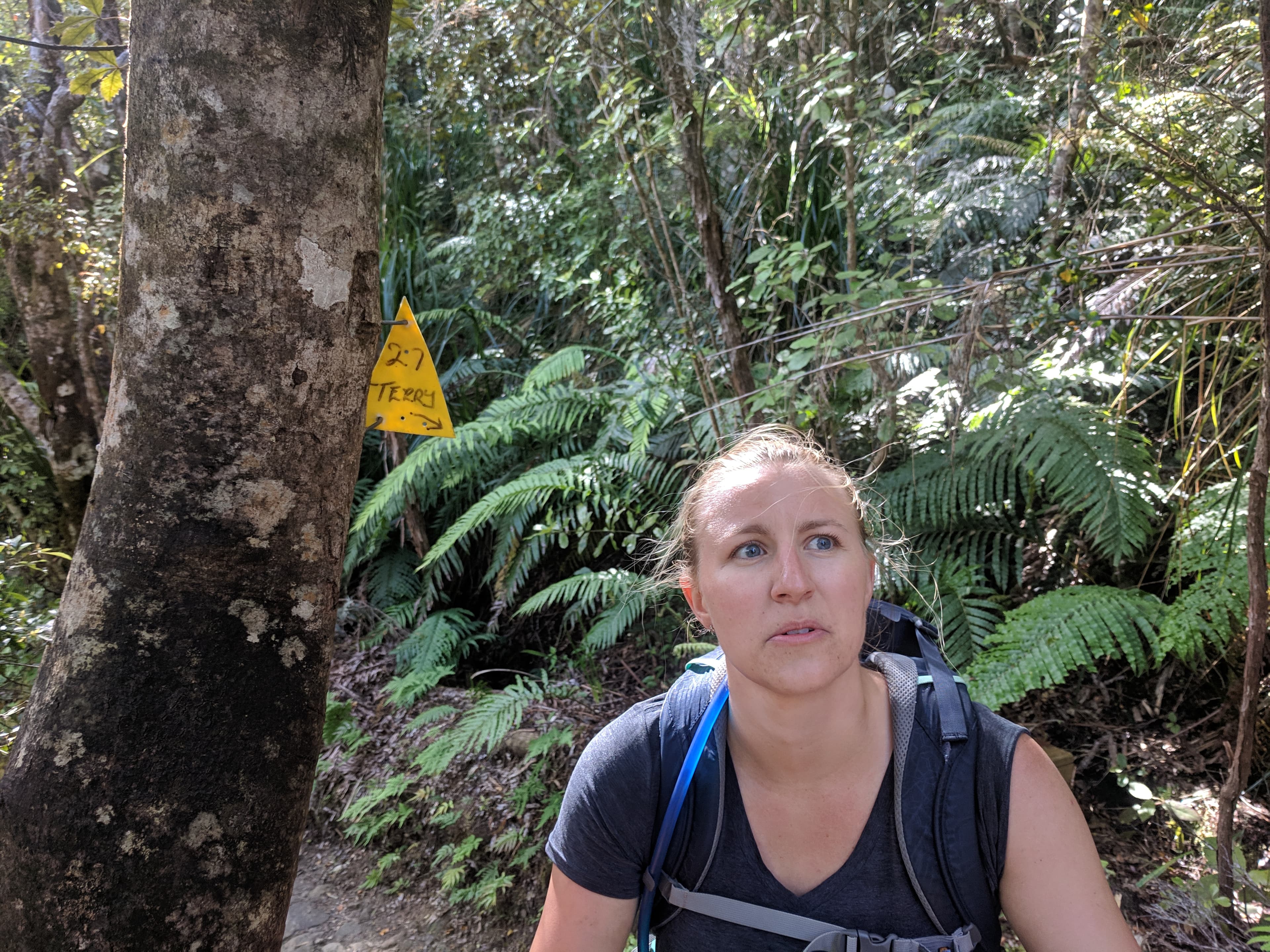 Lauren wondering who this Terry fellow is Lauren wondering who this Terry fellow is