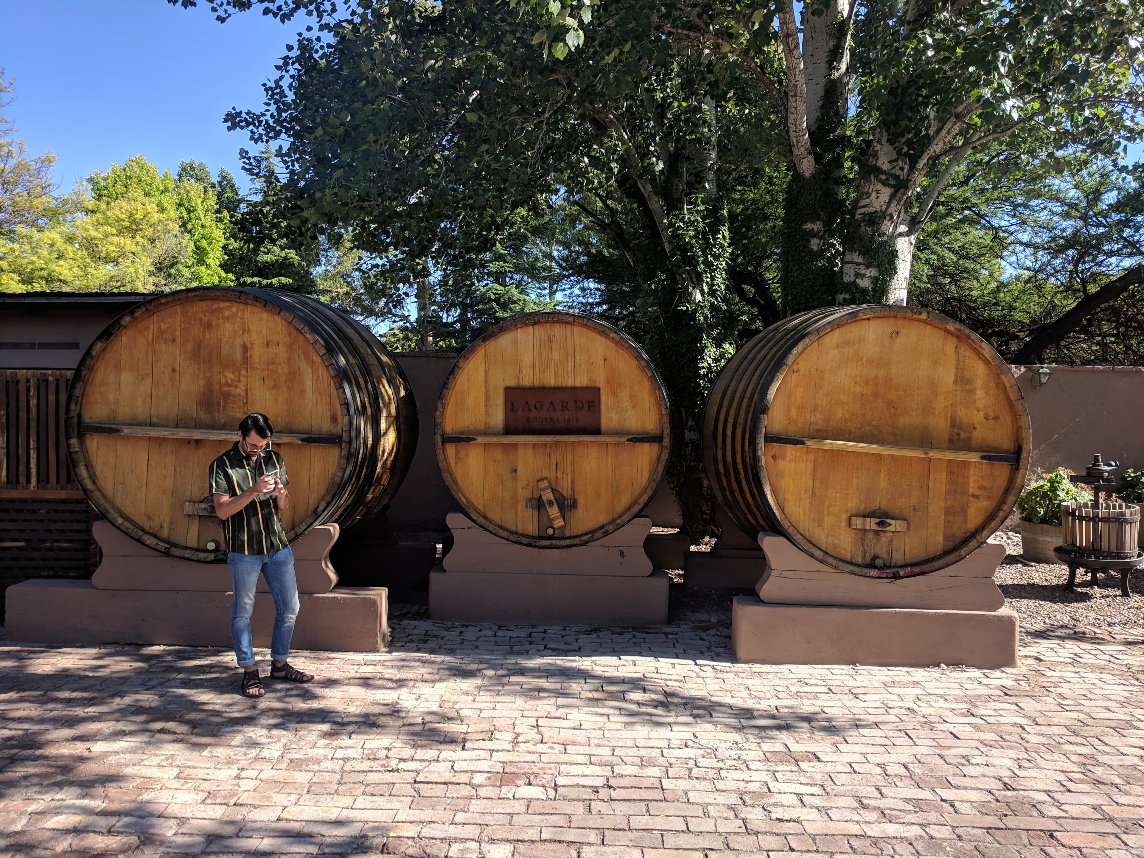 Casks at Bodega Lagarde Casks at Bodega Lagarde