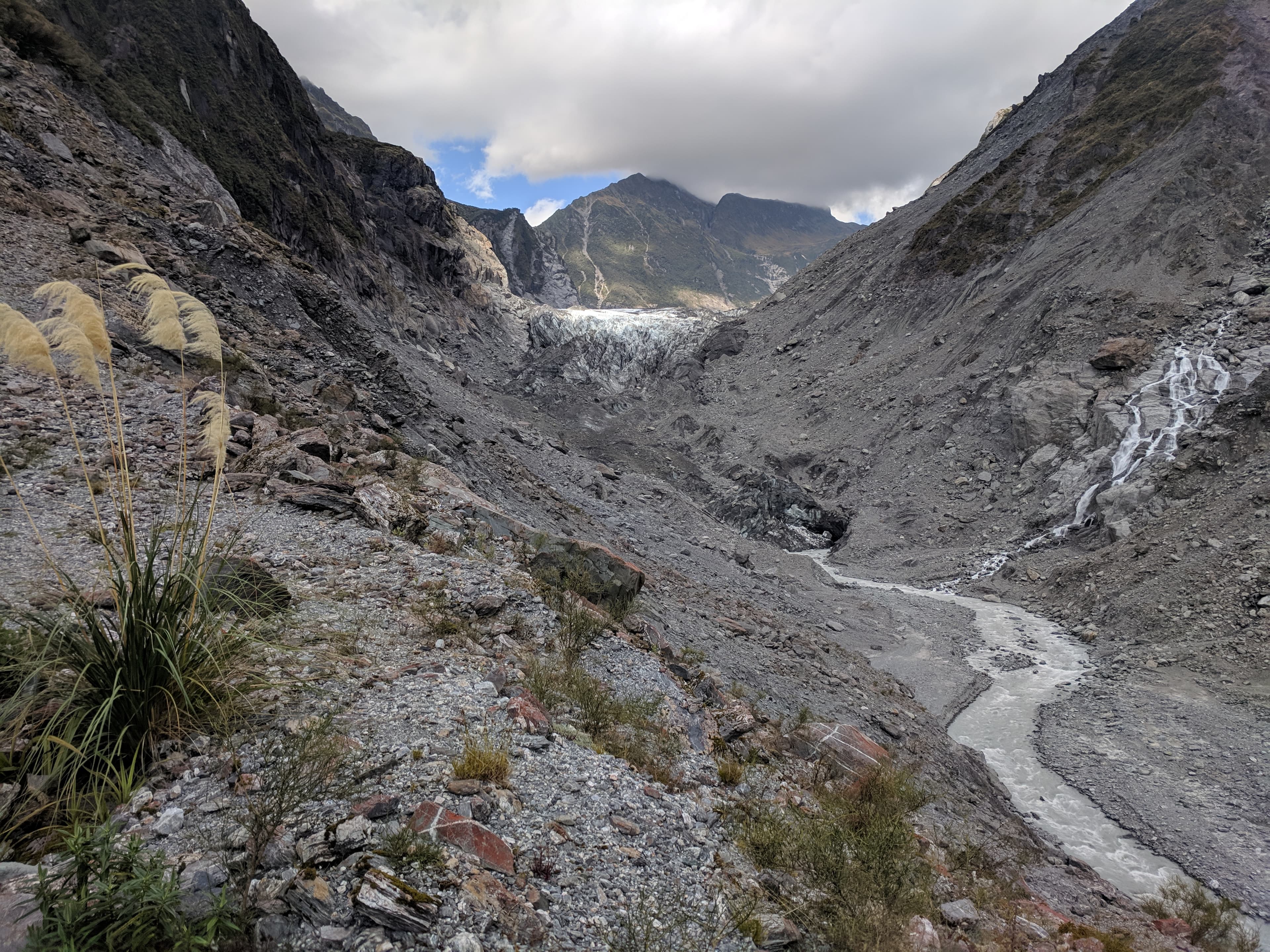 Fox Glacier Fox Glacier