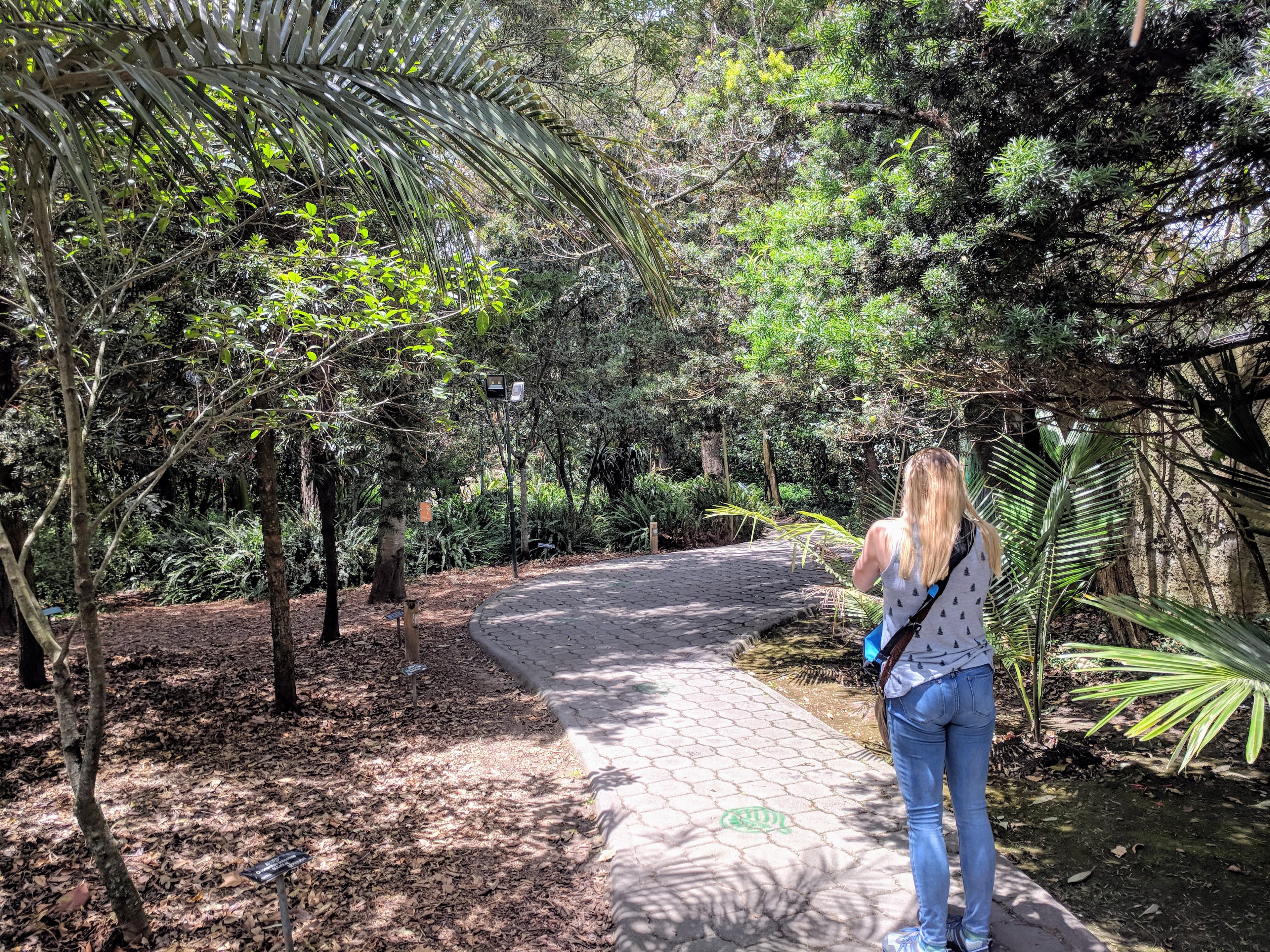 Lauren in the garden Lauren in the garden