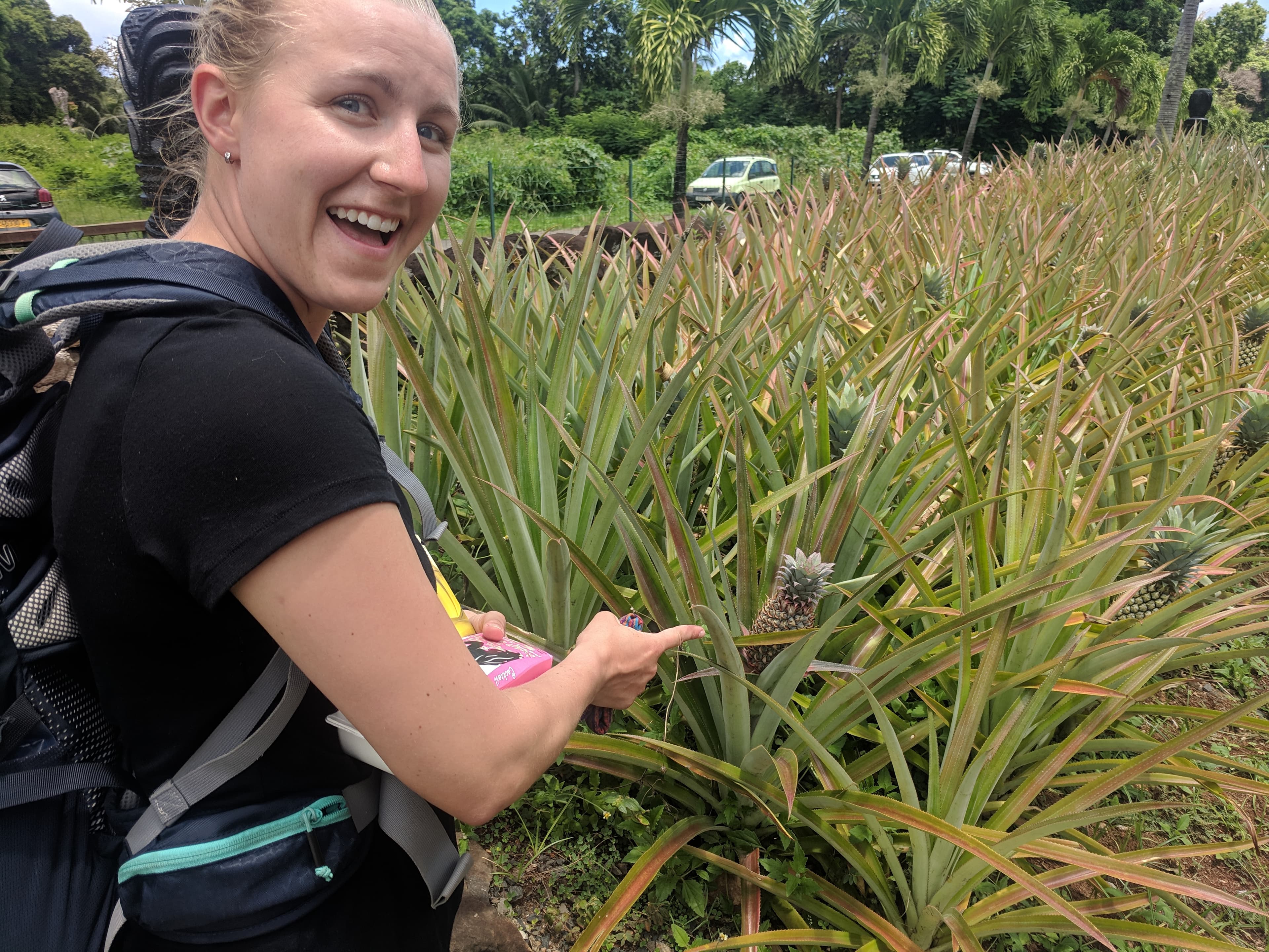 Lauren found a cute pineapple at Rotui Juice Factory & Distillery Lauren found a cute pineapple at Rotui Juice Factory & Distillery