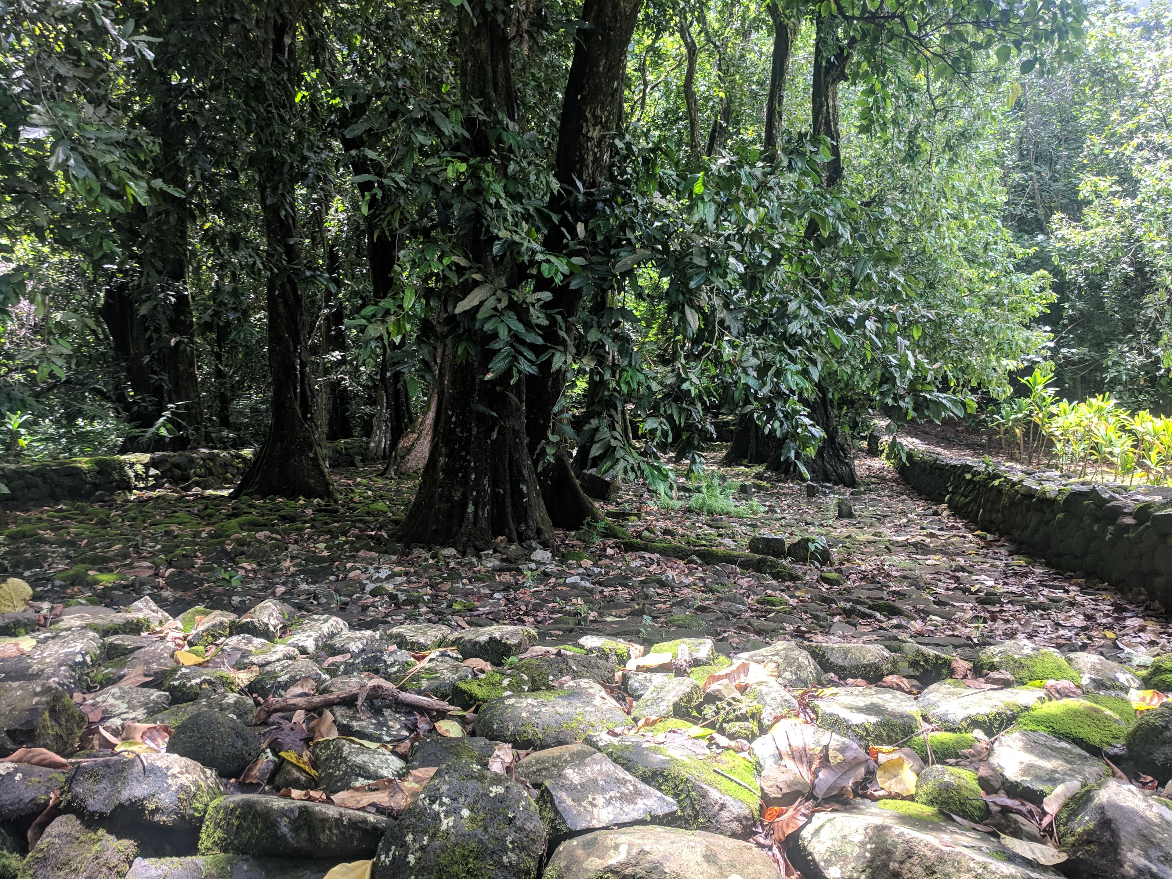 Marae Titiroa site Marae Titiroa site
