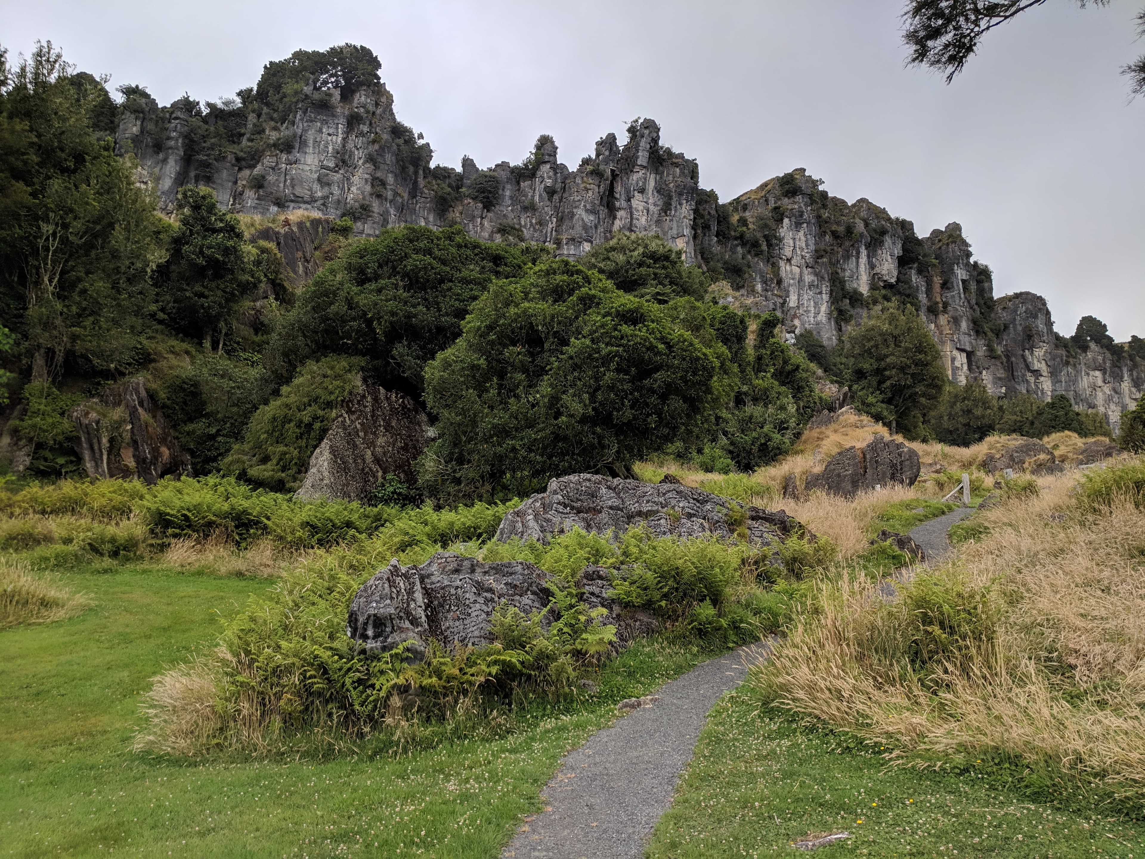 Path up to trollshaws at Hairy Feet Waitomo Path up to trollshaws at Hairy Feet Waitomo
