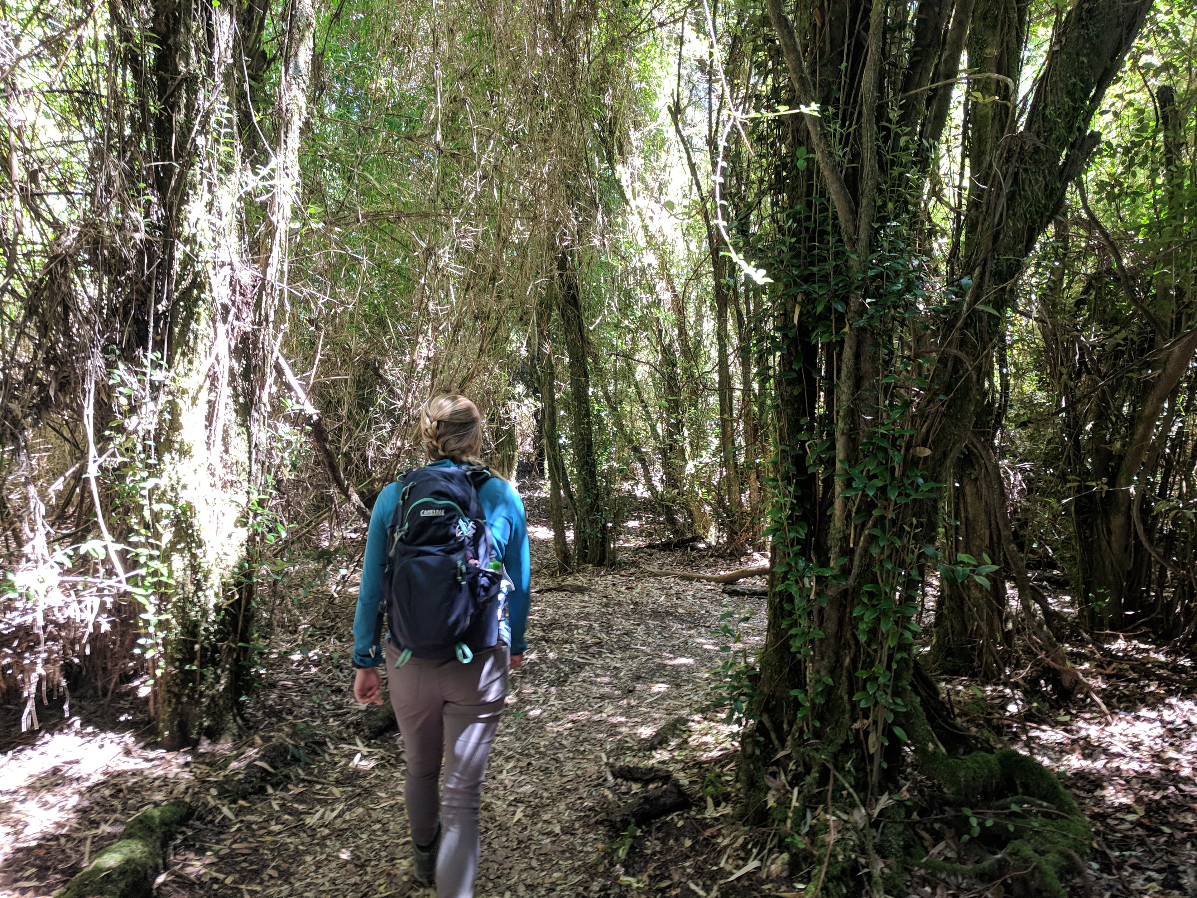 Lauren hiking the dense trail Lauren hiking the dense trail