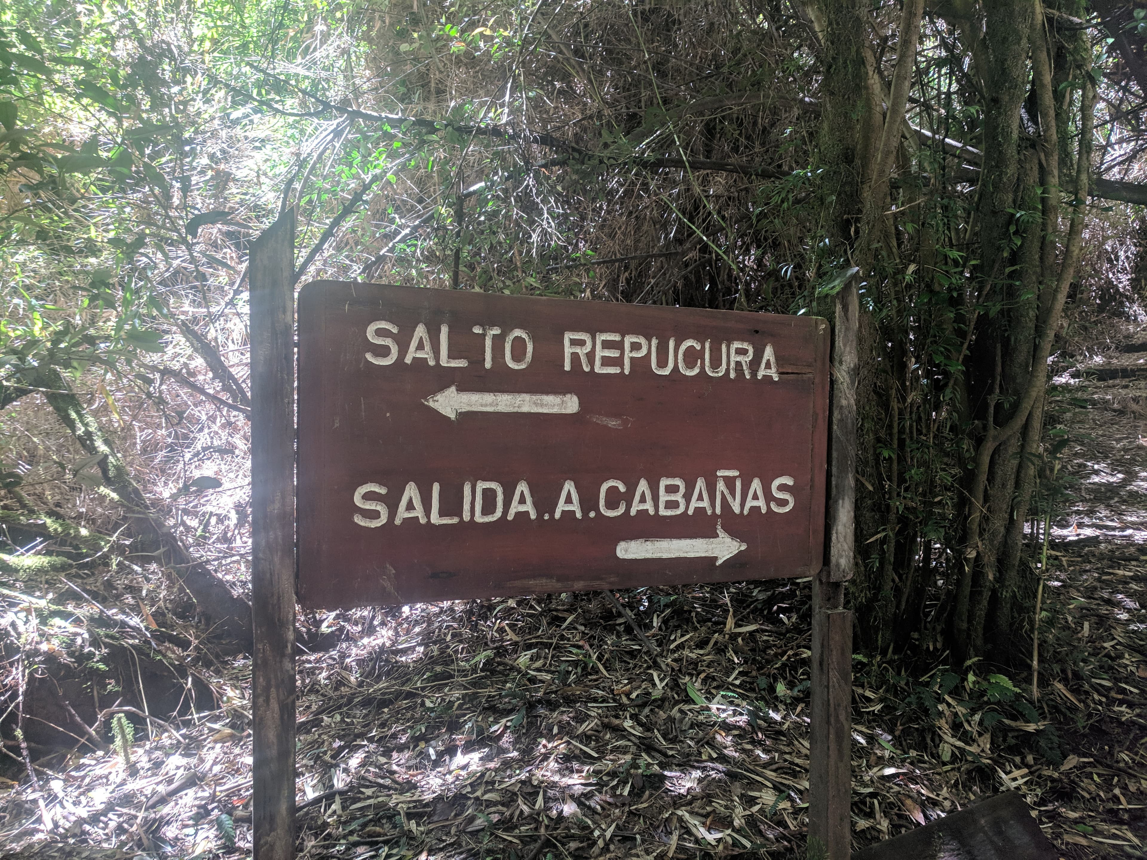 Fork in the trail to Repucura or Exit Fork in the trail to Repucura or Exit