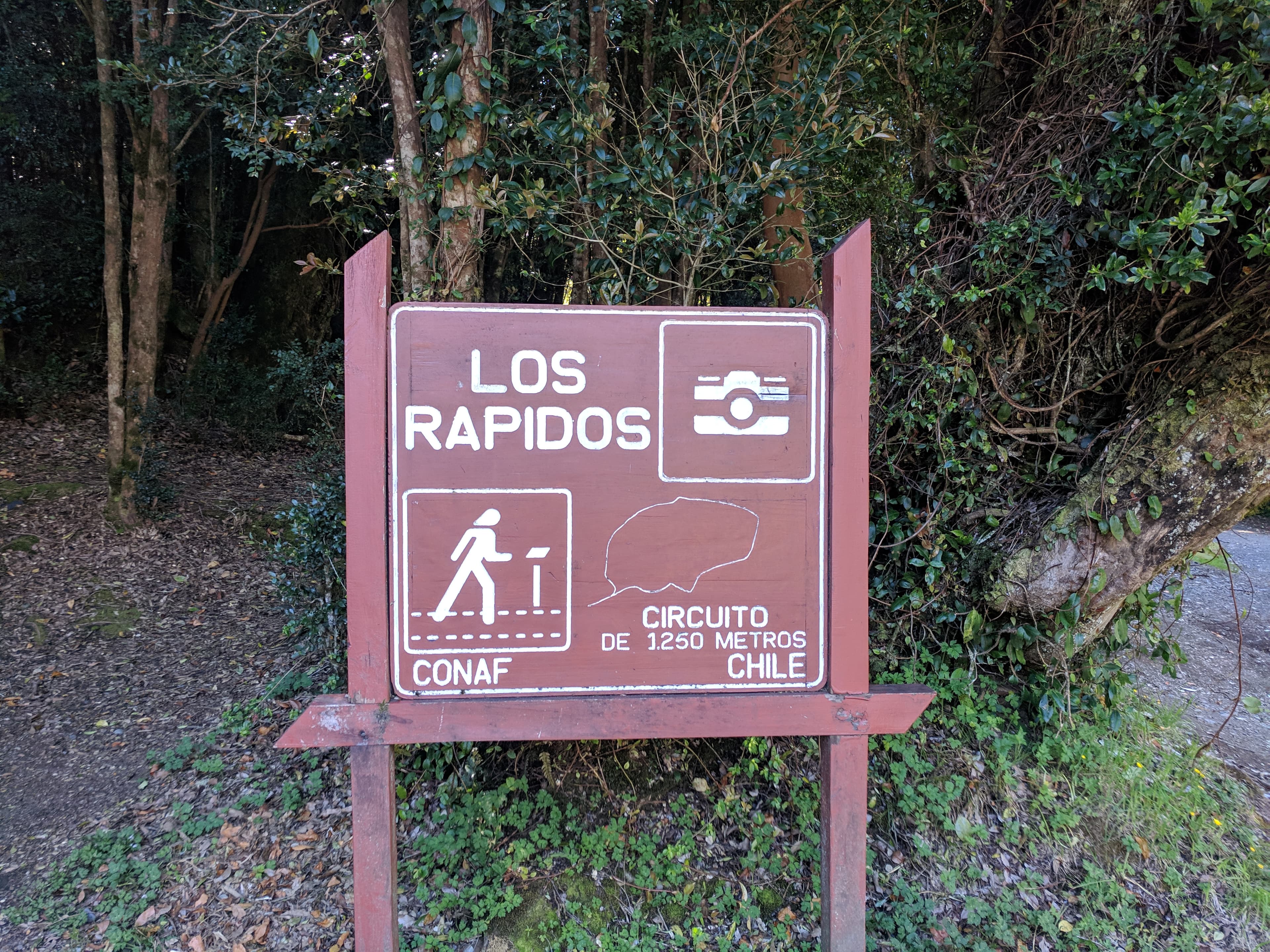 The rapids The rapids