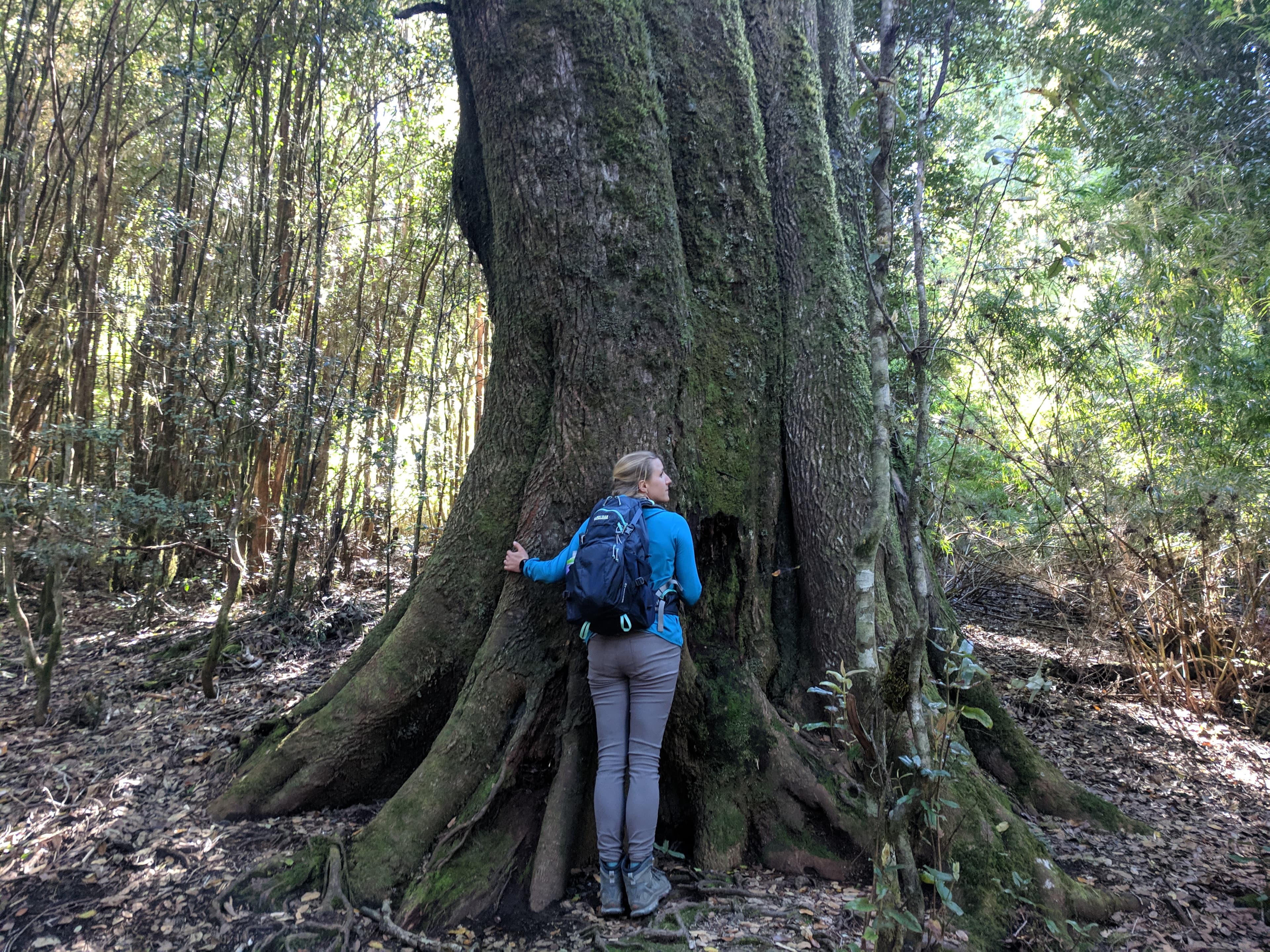 Lauren the tree hugger Lauren the tree hugger