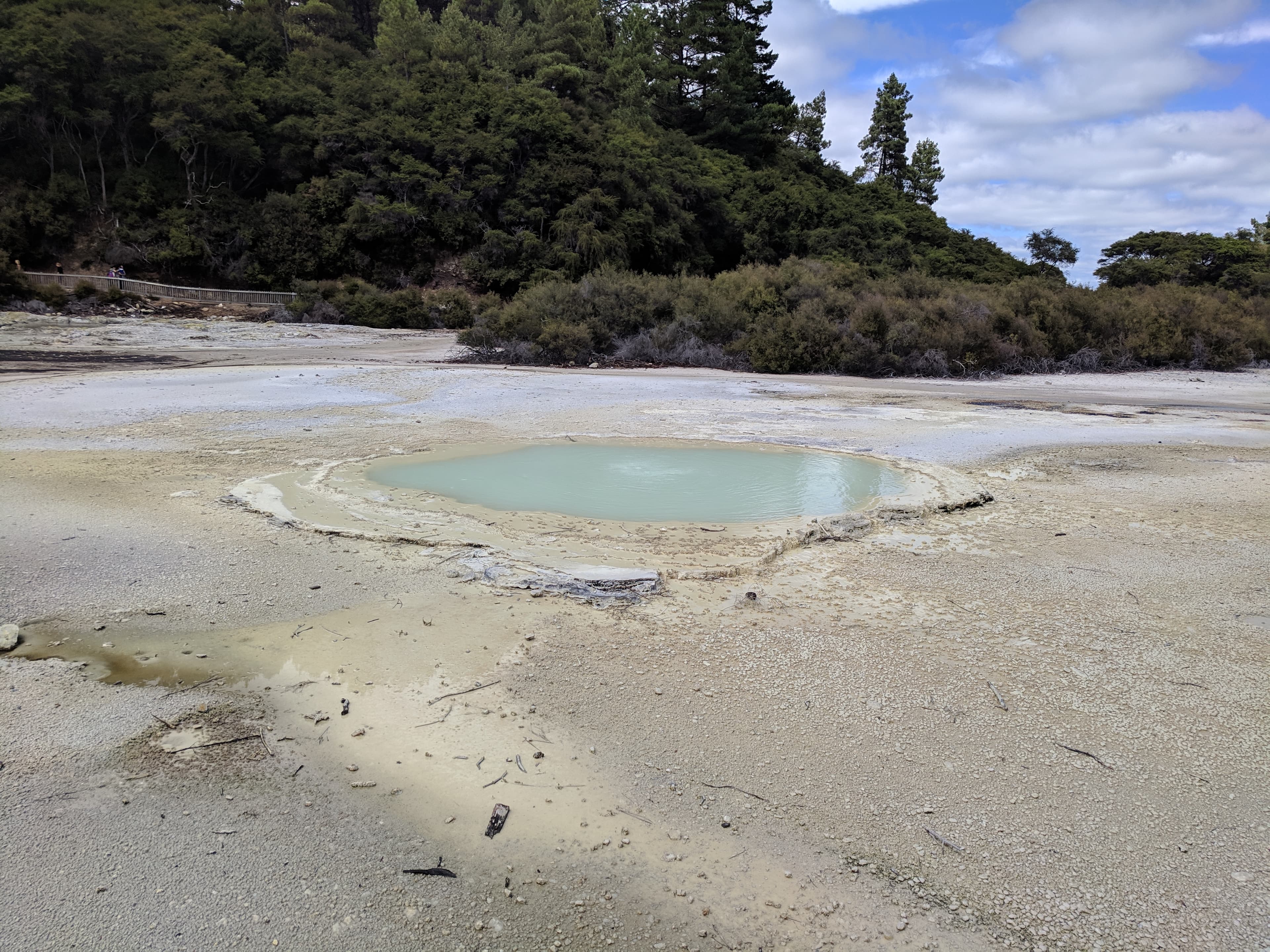 Bubbling pool at Wai-O-Tapu Thermal Wonderland Bubbling pool at Wai-O-Tapu Thermal Wonderland